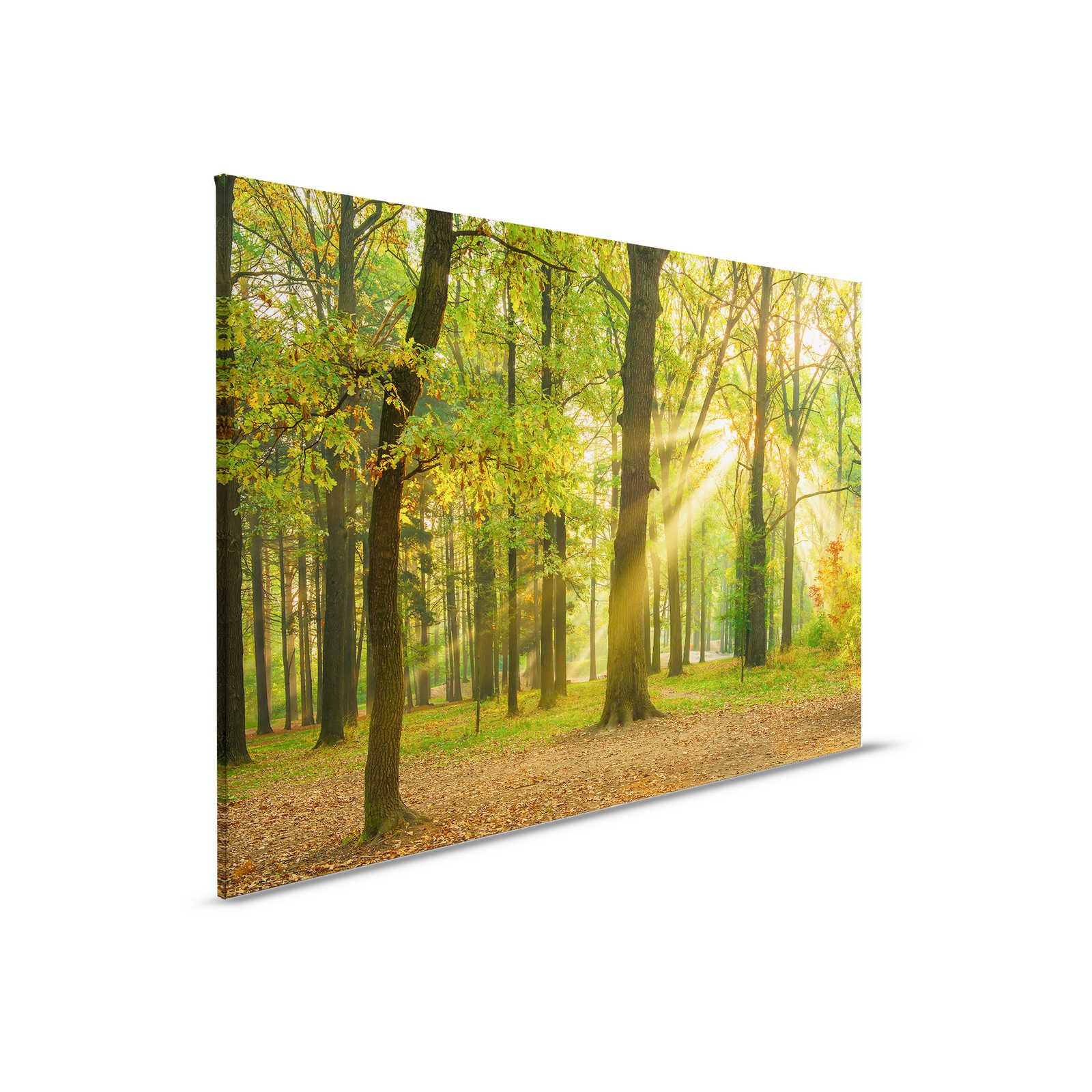 Canvas schilderij Boslandschap in de Herfst - 0,90 m x 0,60 m
