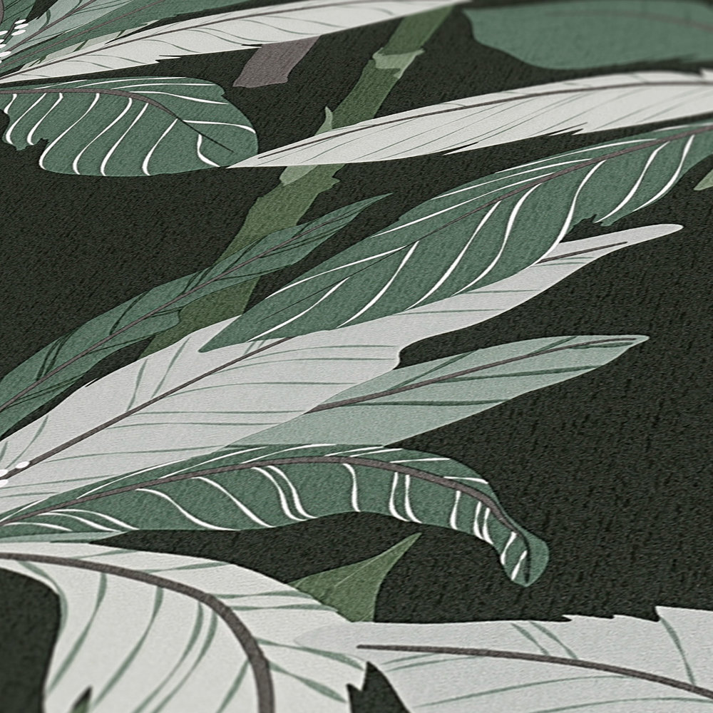             Tropisch behang met palmboom design - groen, zwart
        