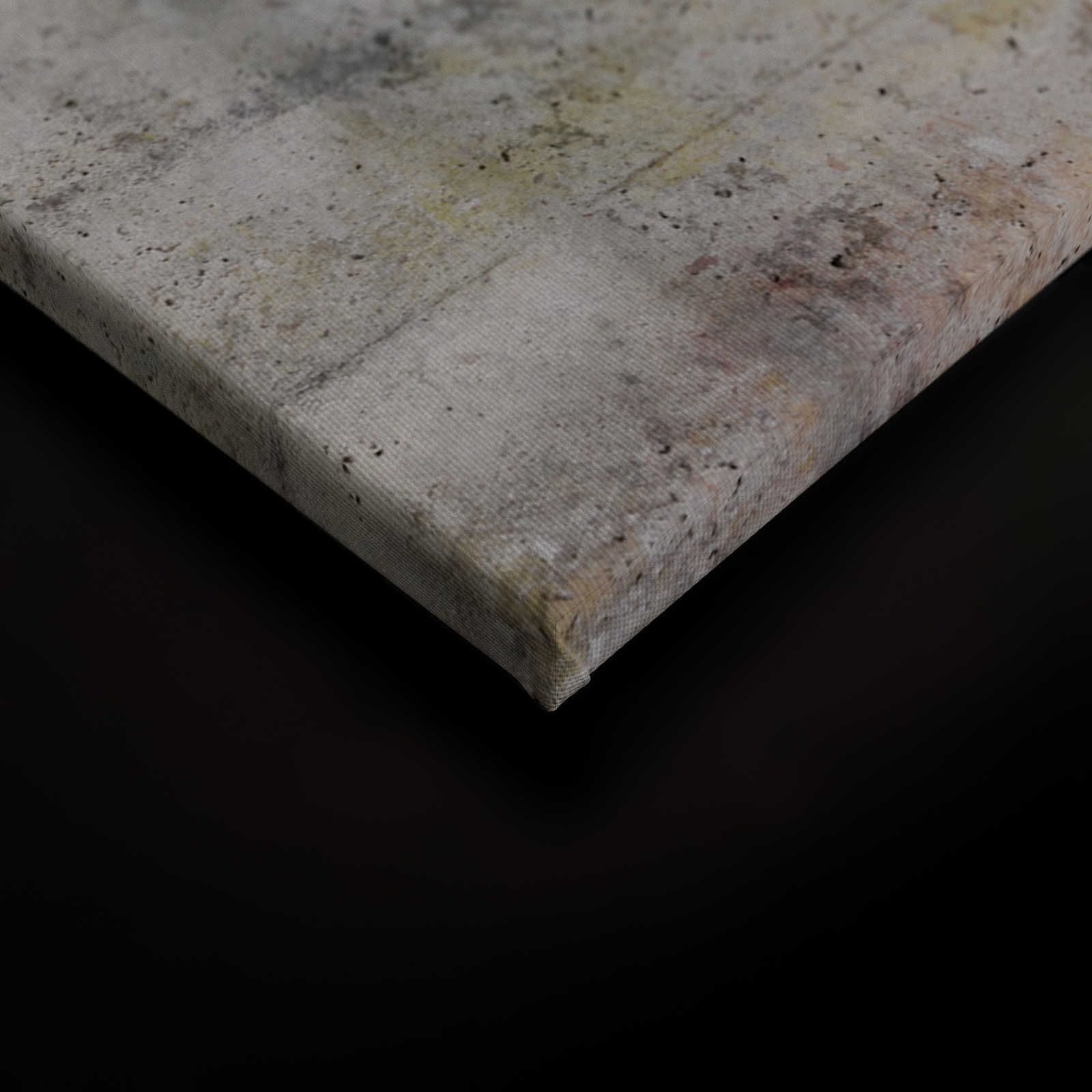             Tableau sur toile Aspect béton avec fissure - 0,90 m x 0,60 m
        