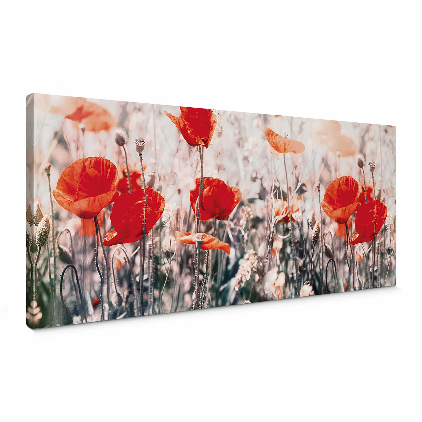 Panoramic canvas picture of a flower meadow – red, pink
