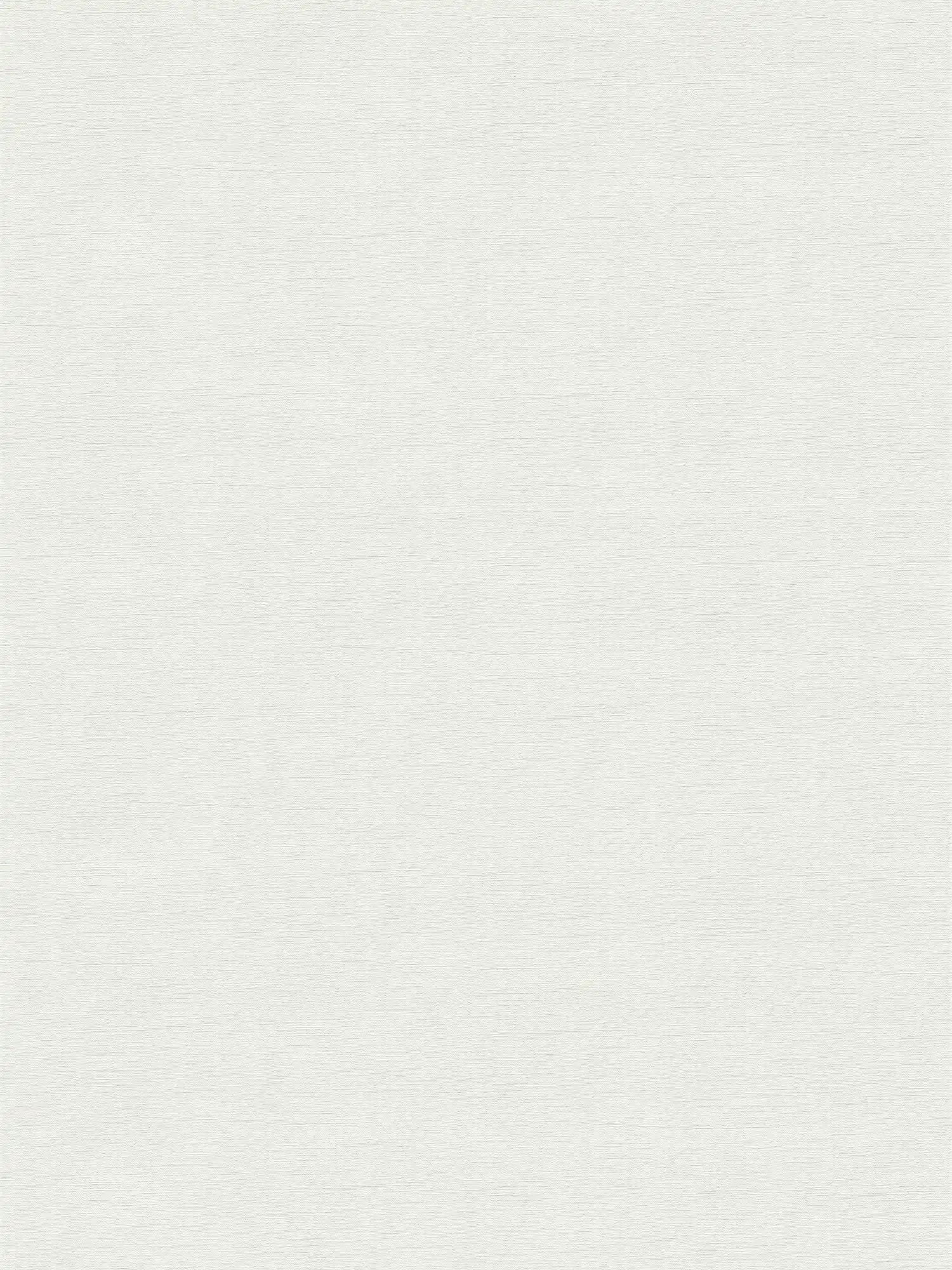 Papier peint intissé à motif finement structuré - gris clair, blanc
