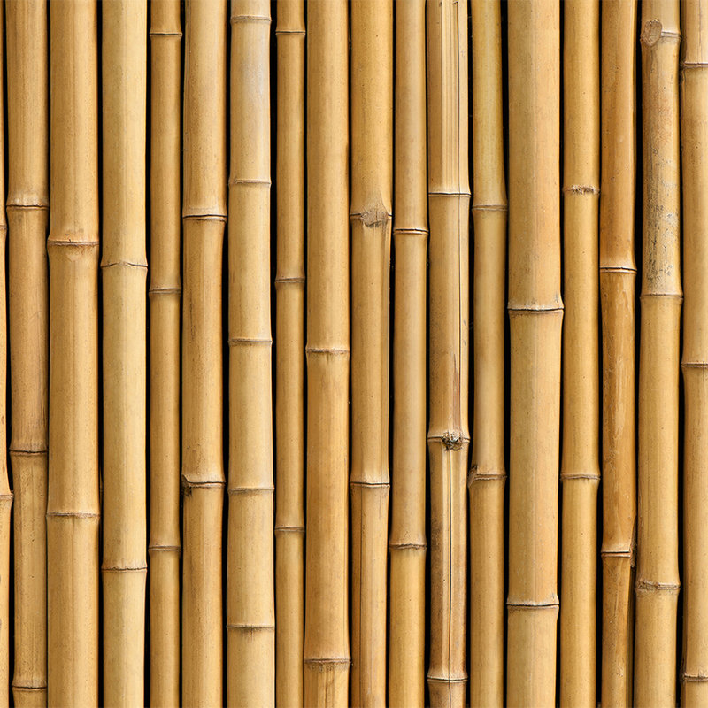 Bamboo Wall Mural in Beige - Textured Non-woven
