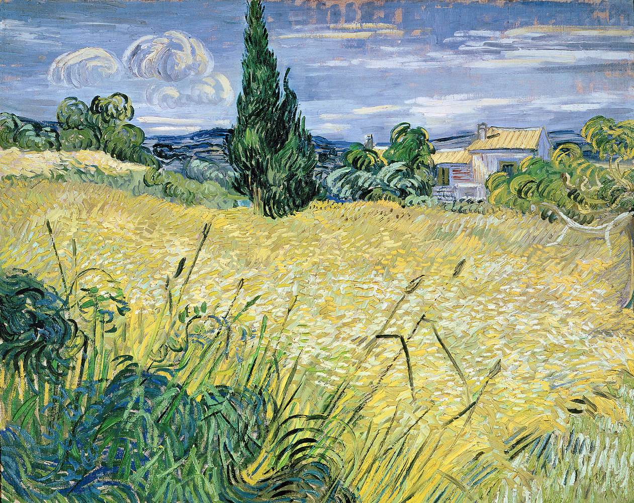             Mural "Campo de trigo verde con ciprés" de Vincent van Gogh
        