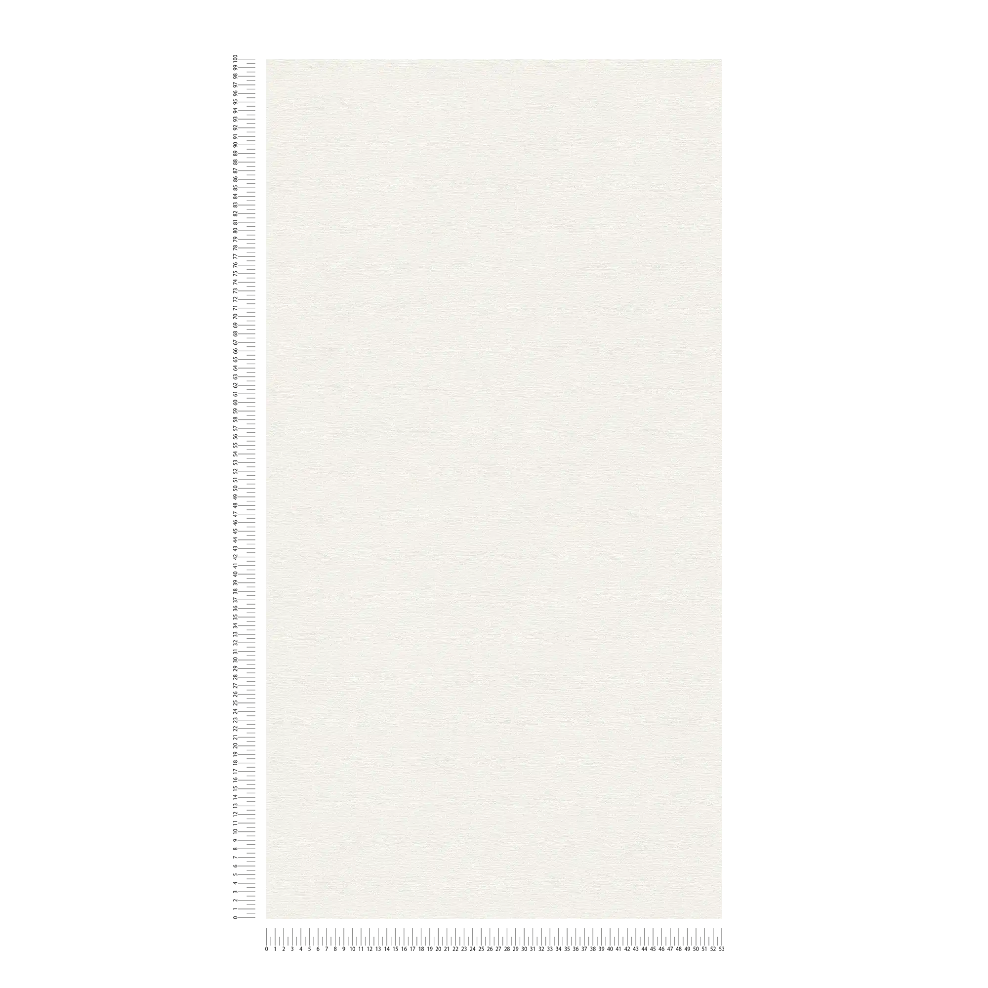             Lightly textured non-woven wallpaper, single-coloured - white
        