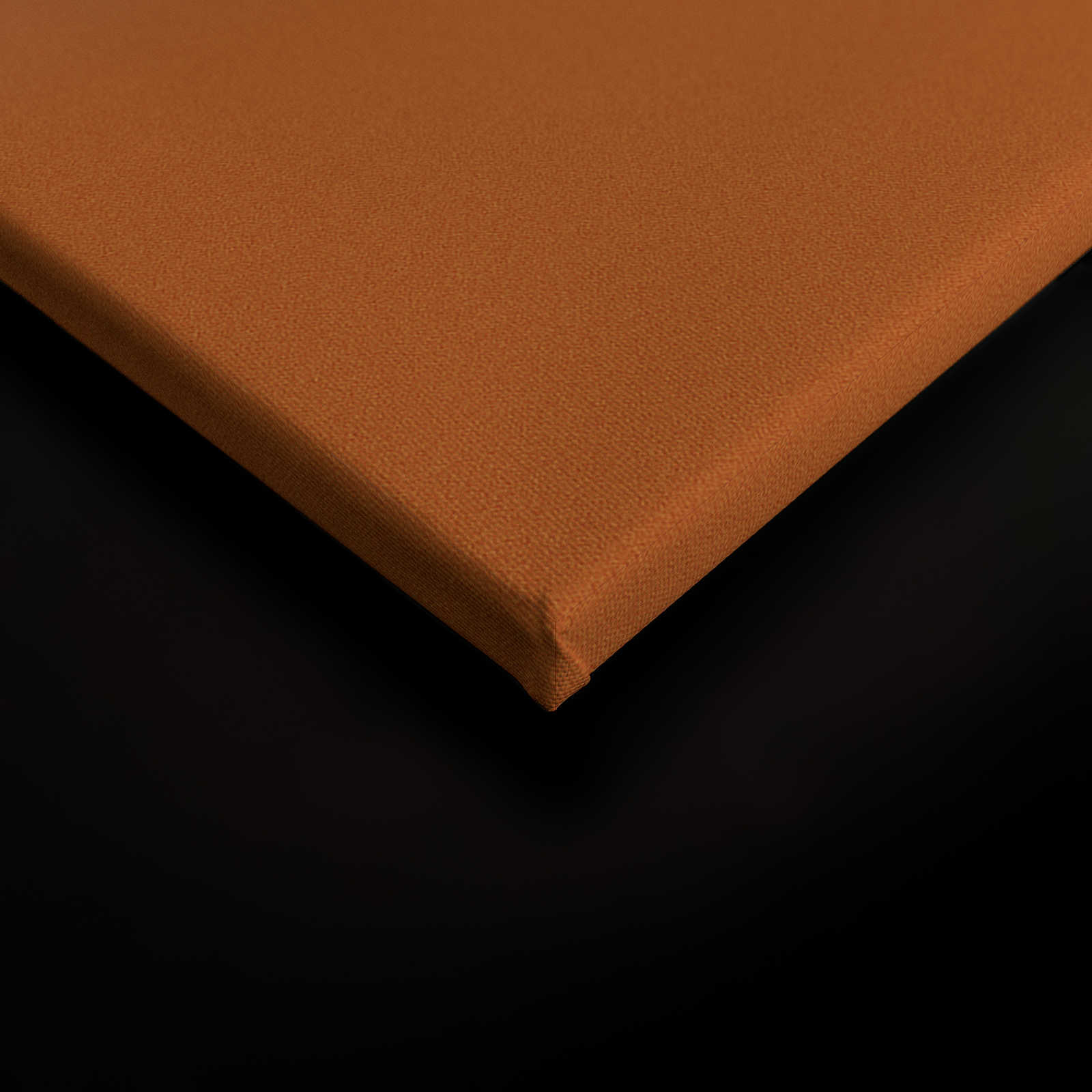             Colour Studio 4 - Toile Ombre Dégradé Rose & Orange - 1,20 m x 0,80 m
        