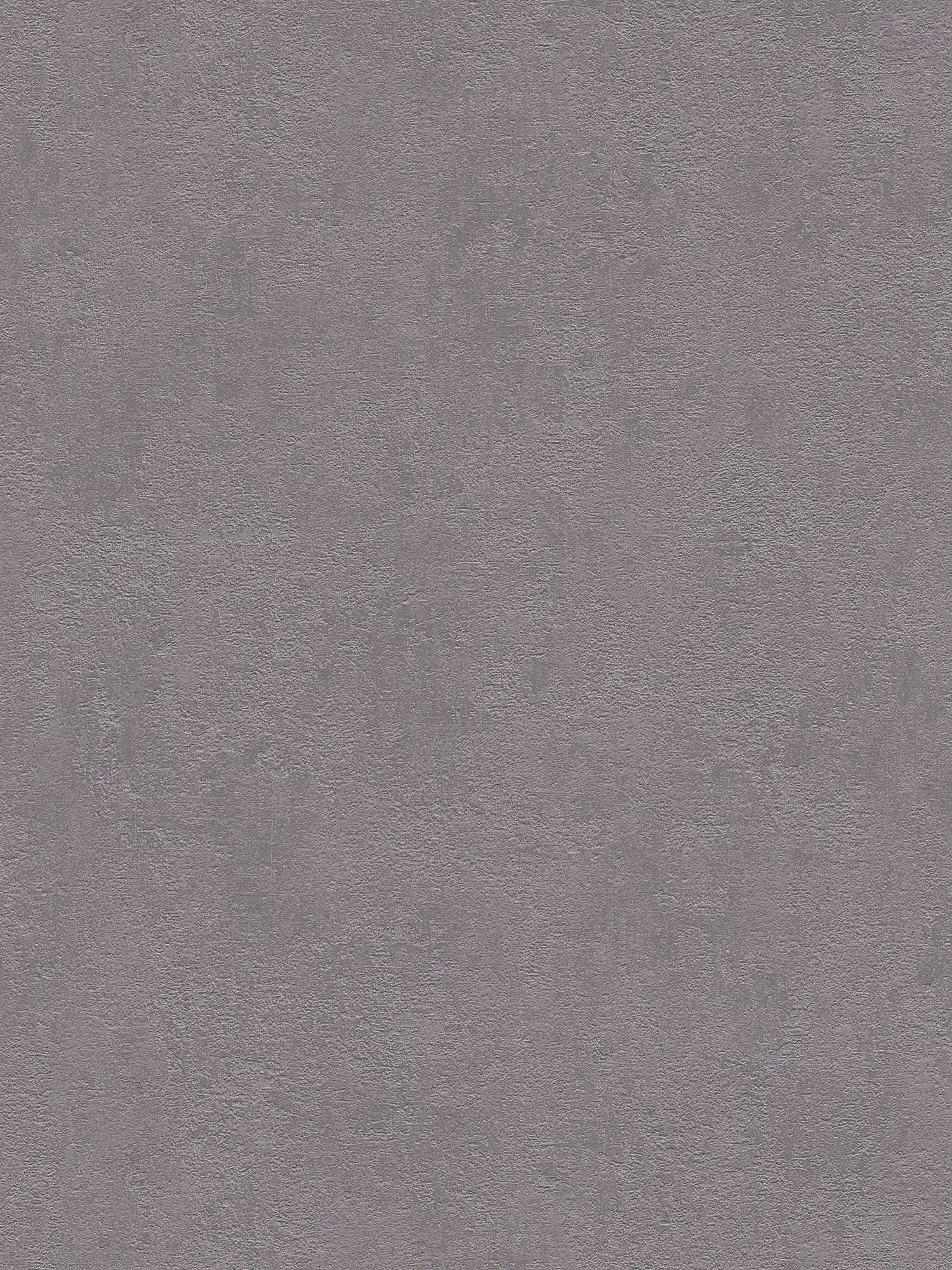             Papier peint plâtre structuré, uni & satiné - gris foncé
        