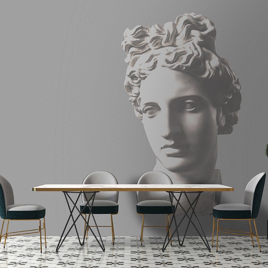 Photo wallpaper »venus« - antique female bust - Smooth, slightly pearly shimmering non-woven fabric
