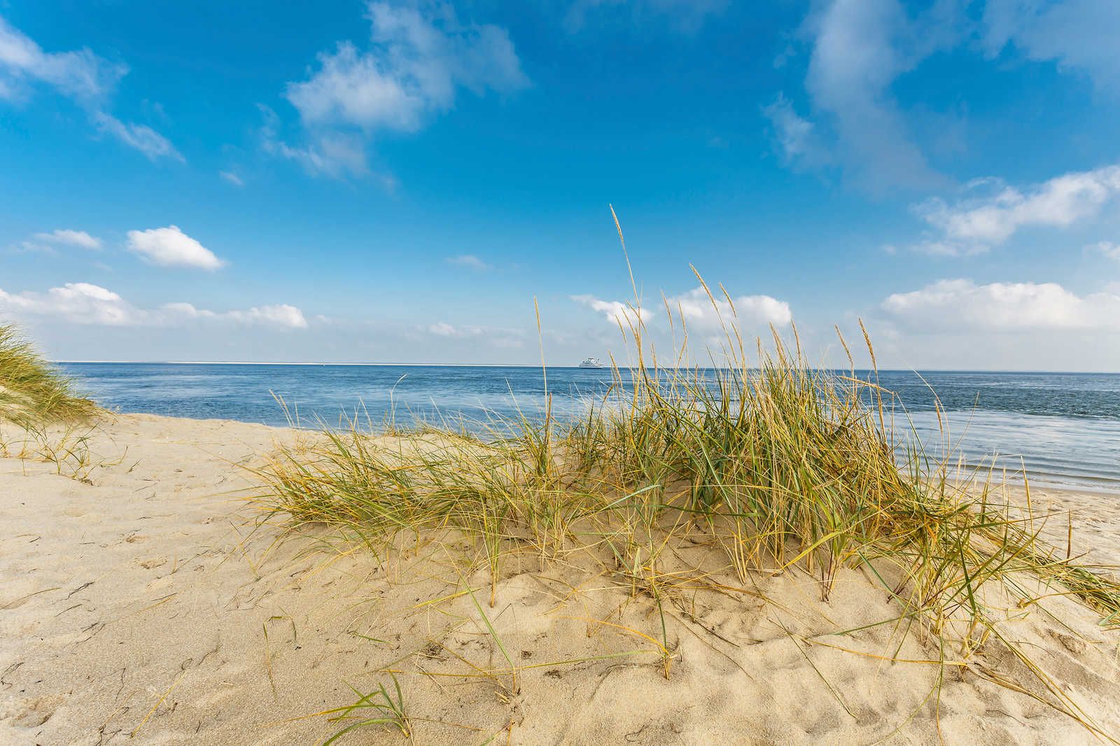             Quadro su tela Paesaggio costiero con spiaggia di dune - 0,90 m x 0,60 m
        