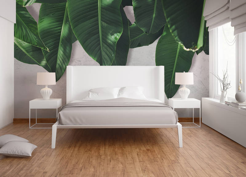             Palm leaves wall mural - grey, green
        