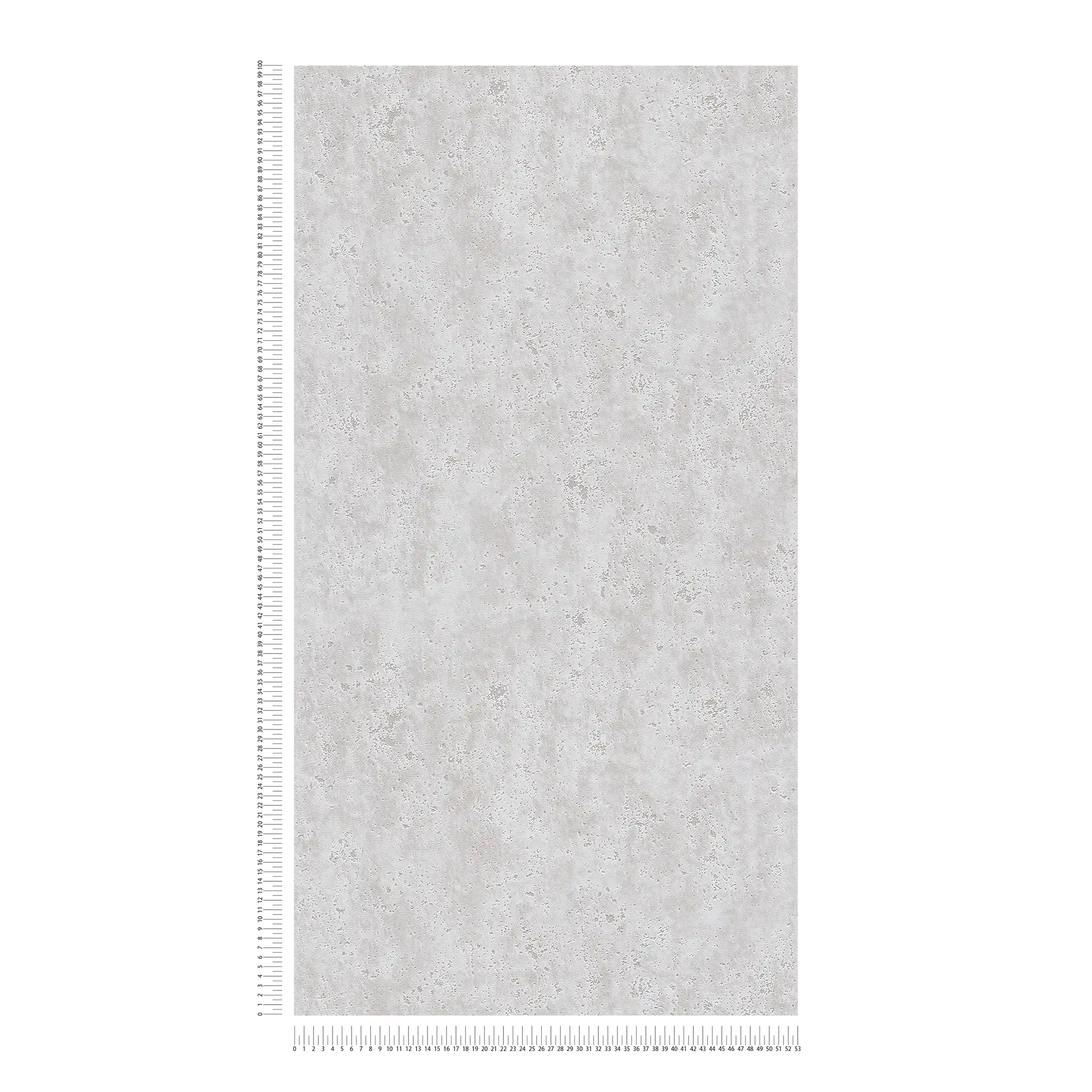             Carta da parati effetto cemento con colore e struttura superficiale - grigio
        