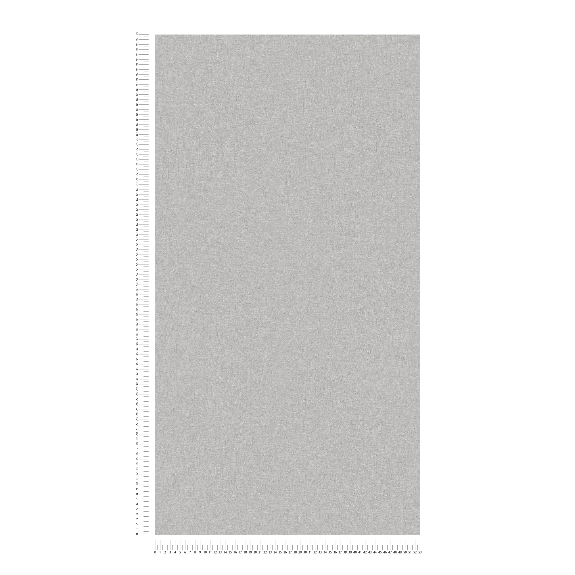             Carta da parati metallizzata argento lucido, liscia con struttura design
        