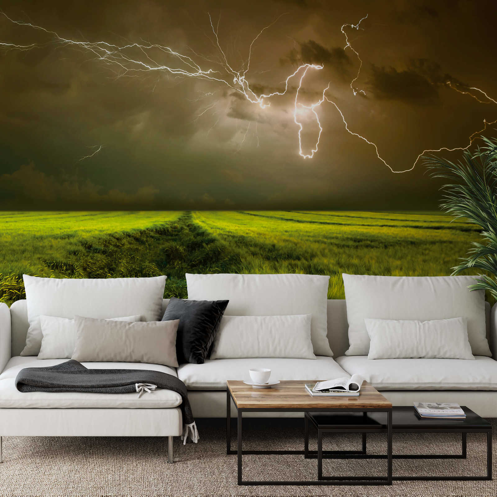             Photo wallpaper Field in storm with lightning - Green, Brown
        