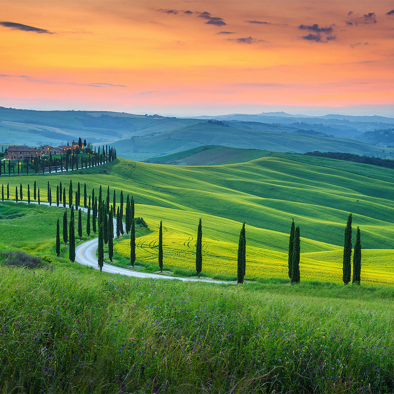 Tuscany sunrise mural - green, orange, yellow
