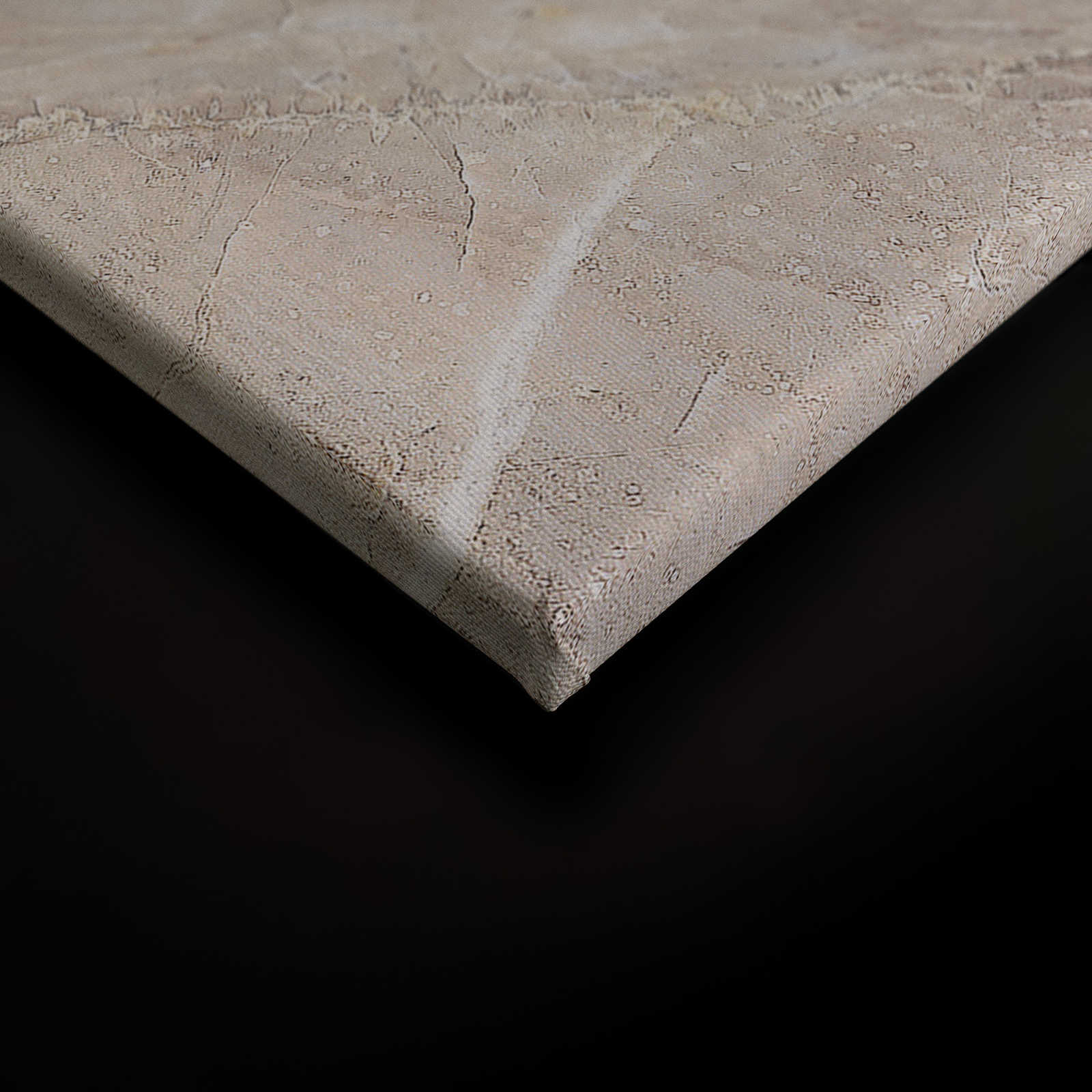             Quadro su tela con aspetto marmoreo Primo piano - 0,90 m x 0,60 m
        