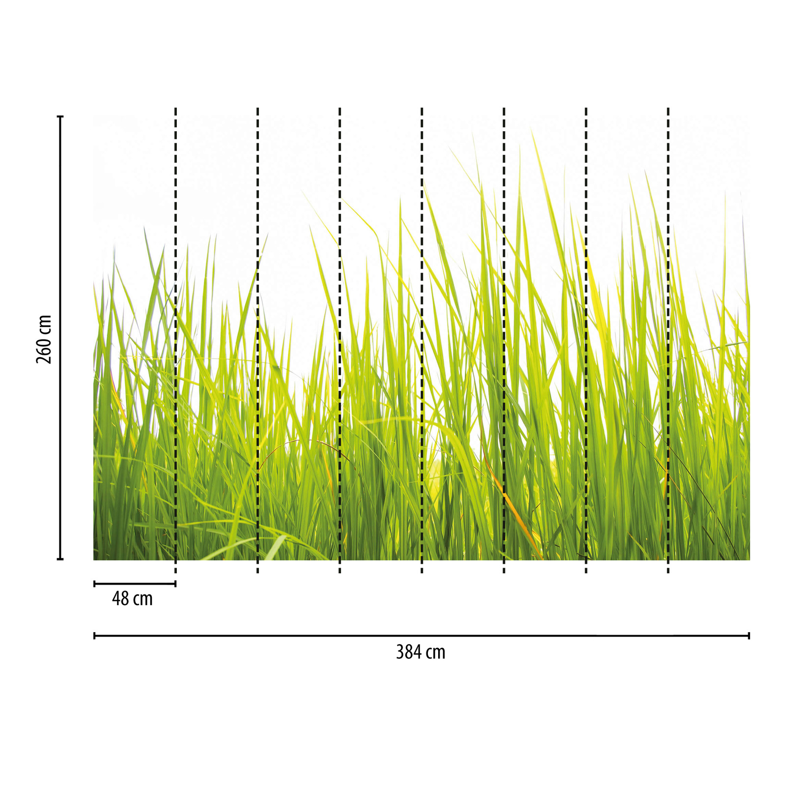             Tall Grass in the Wind Behang - Groen
        