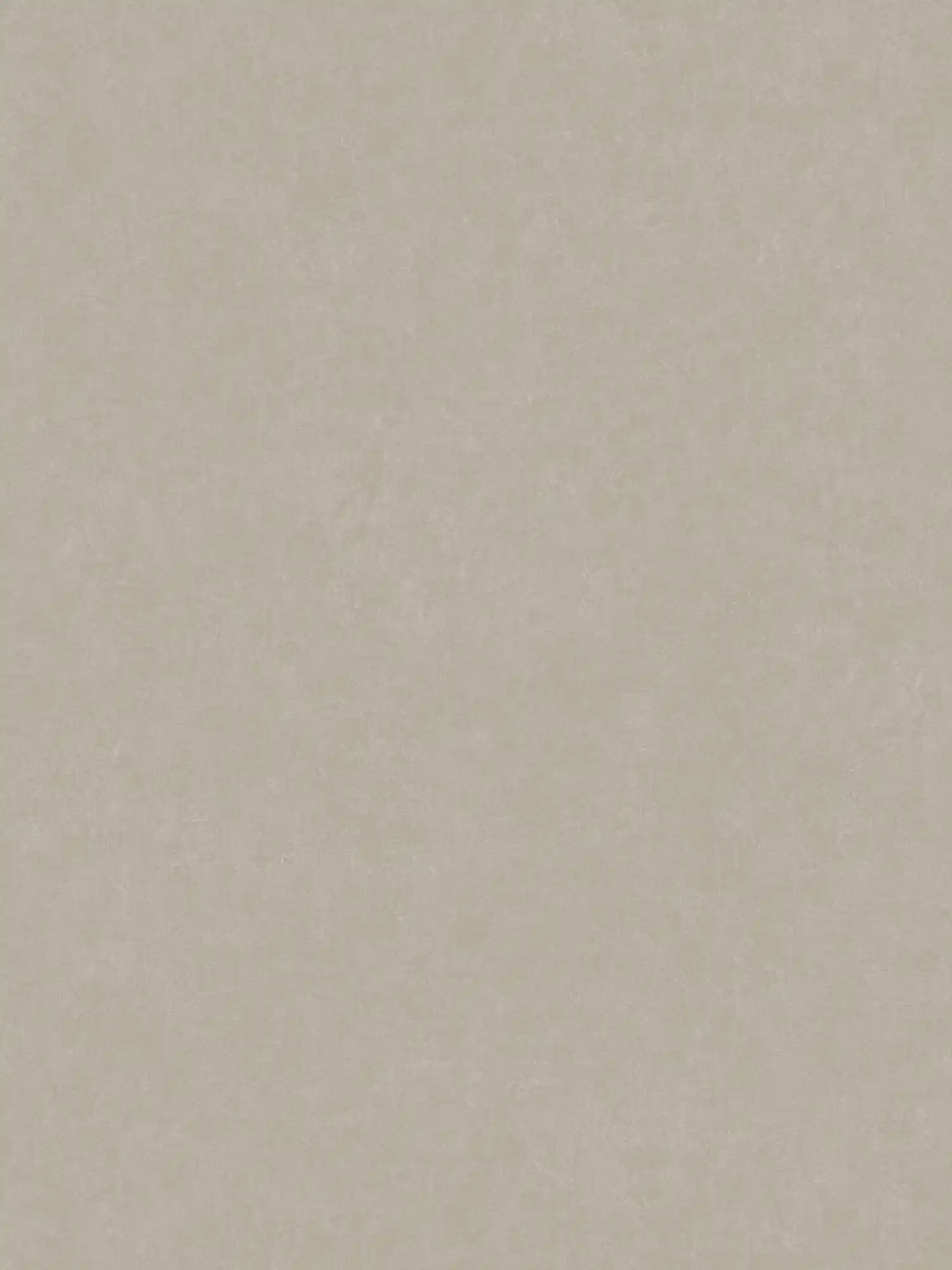 Papier peint gris-beige uni avec motif structuré
