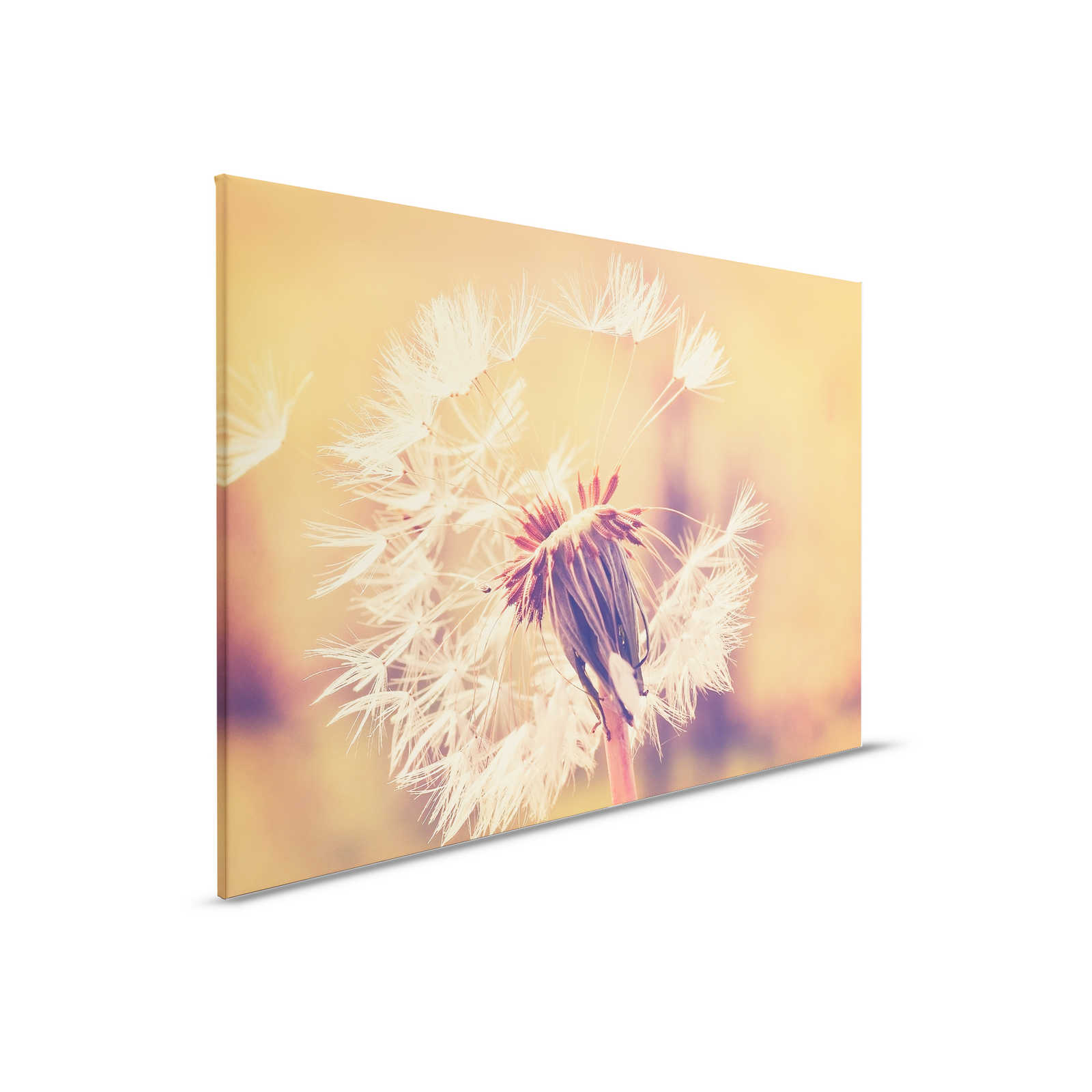 Canvas with dandelion motif | Orange, White - 0.90 m x 0.60 m
