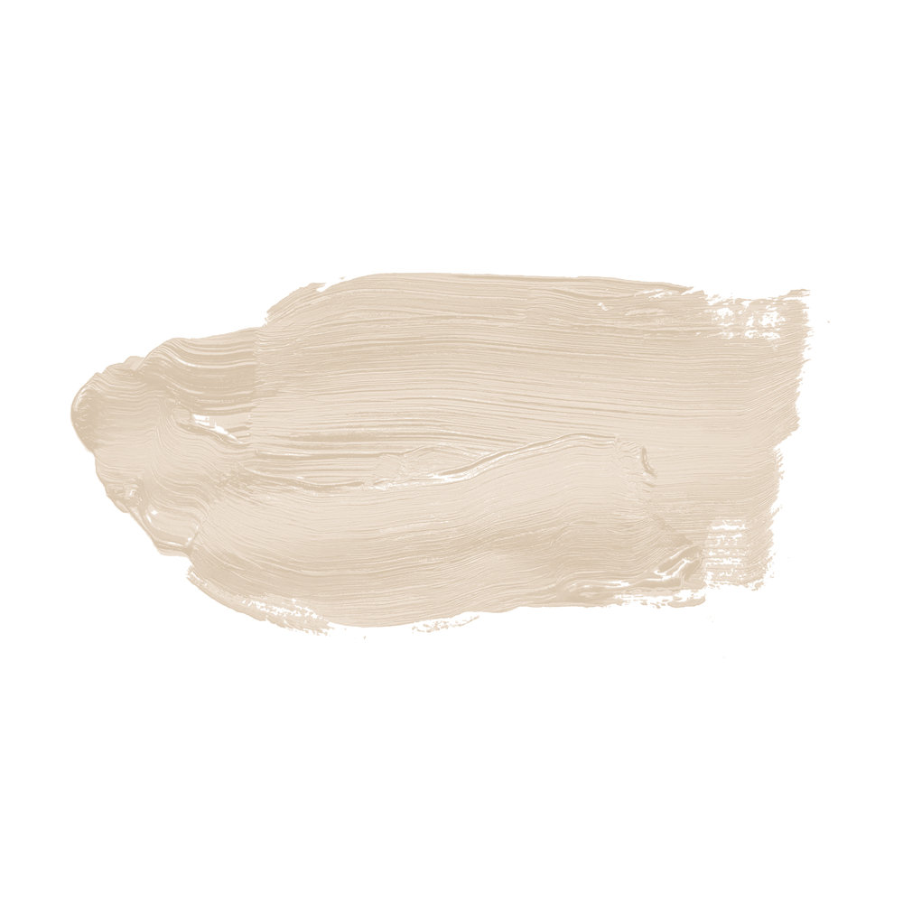             Wall Paint TCK6019 »Melty Marzipan« in delicate beige – 2.5 litre
        