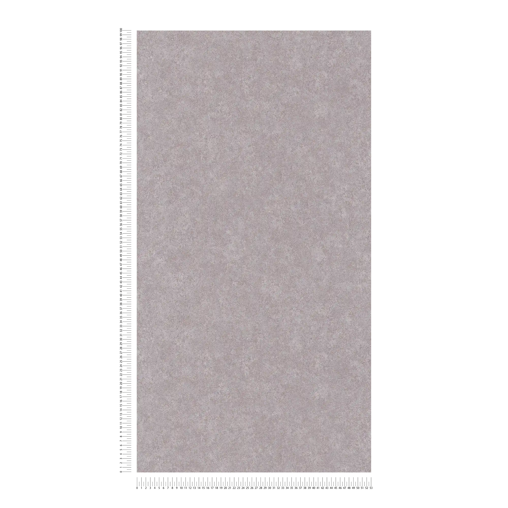             Carta da parati neutra effetto gesso con superficie opaca - grigio
        