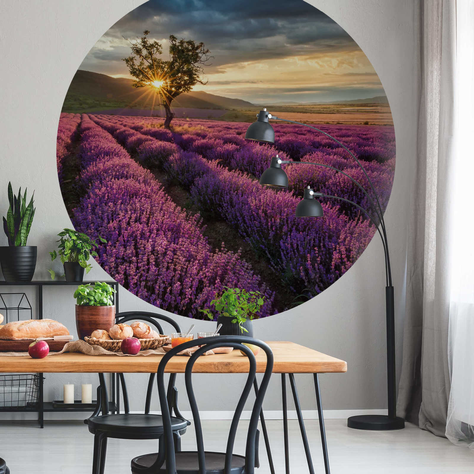             Muurschildering rond lavendelveld in de Provence
        