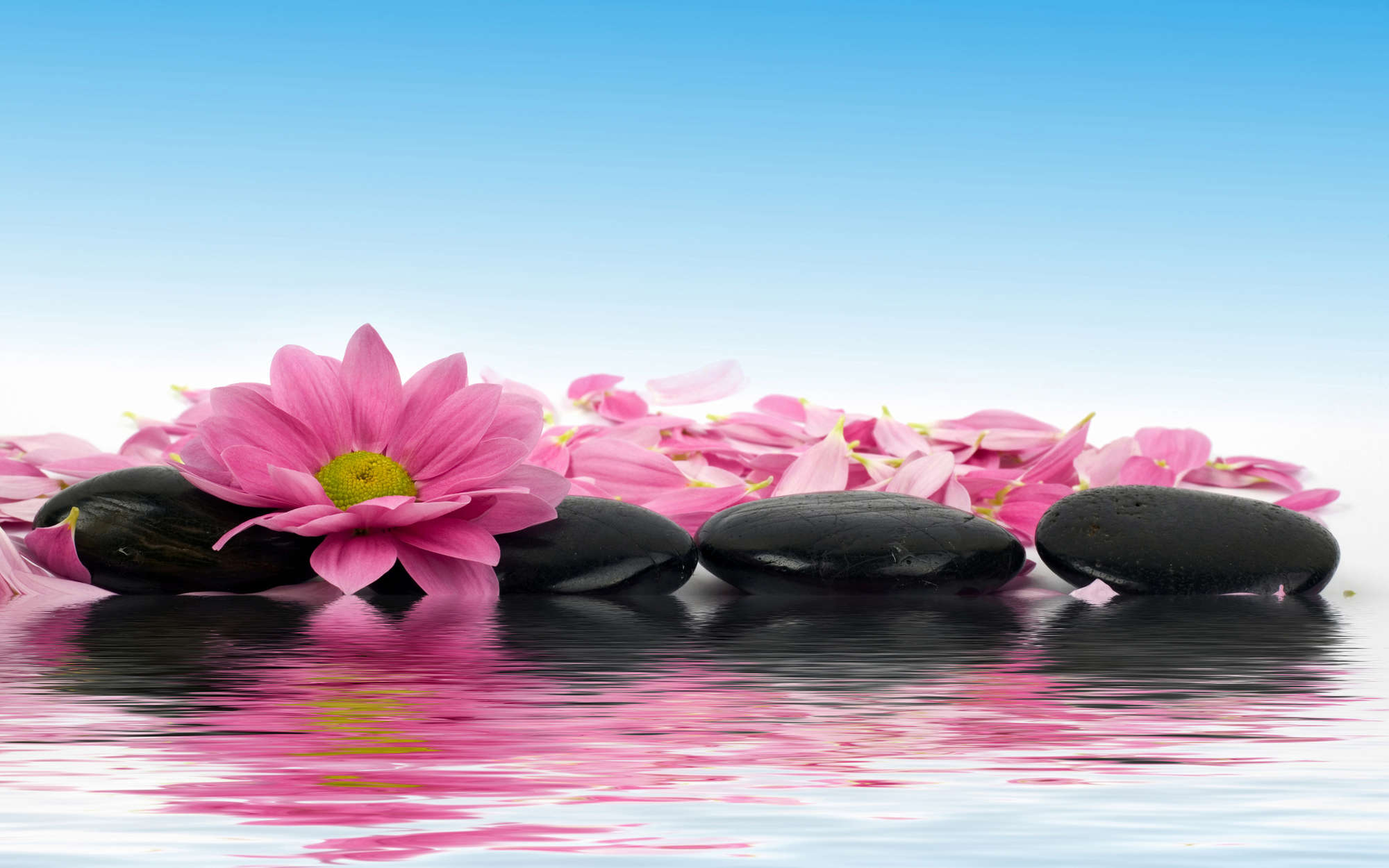             Water Lilies and Wellness Stones Wallpaper - Premium Smooth Non-woven
        