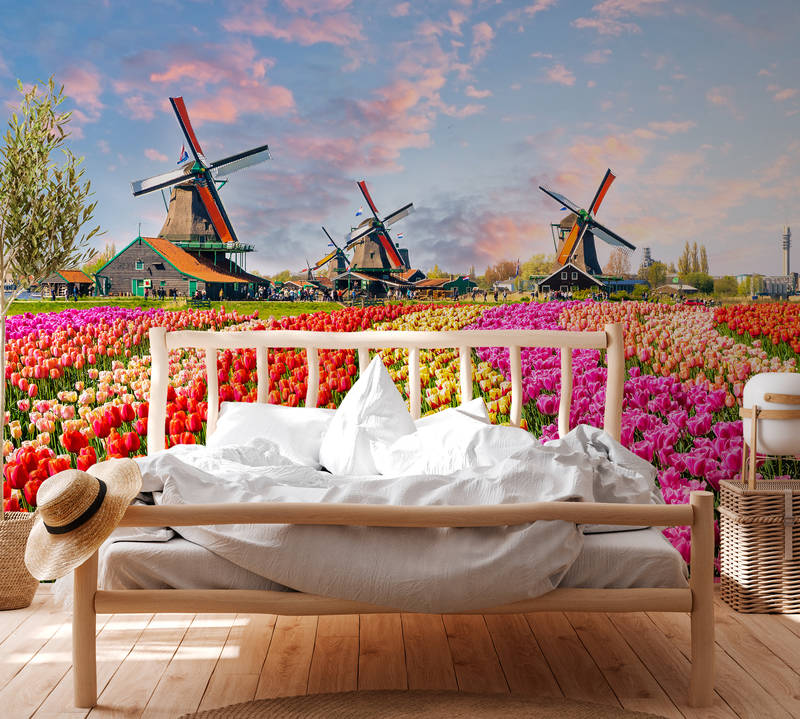             Holland tulips & pinwheel mural - Colorful, Brown, Pink
        