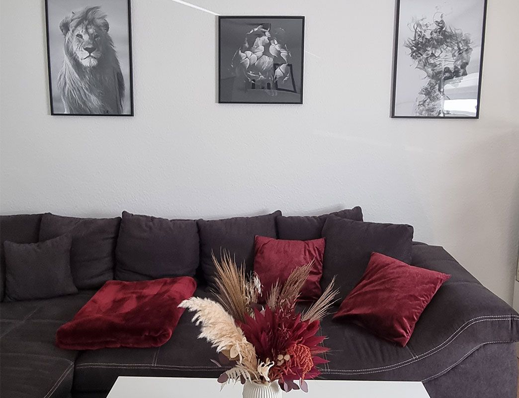 Bordeaux cushion-deco-living-room