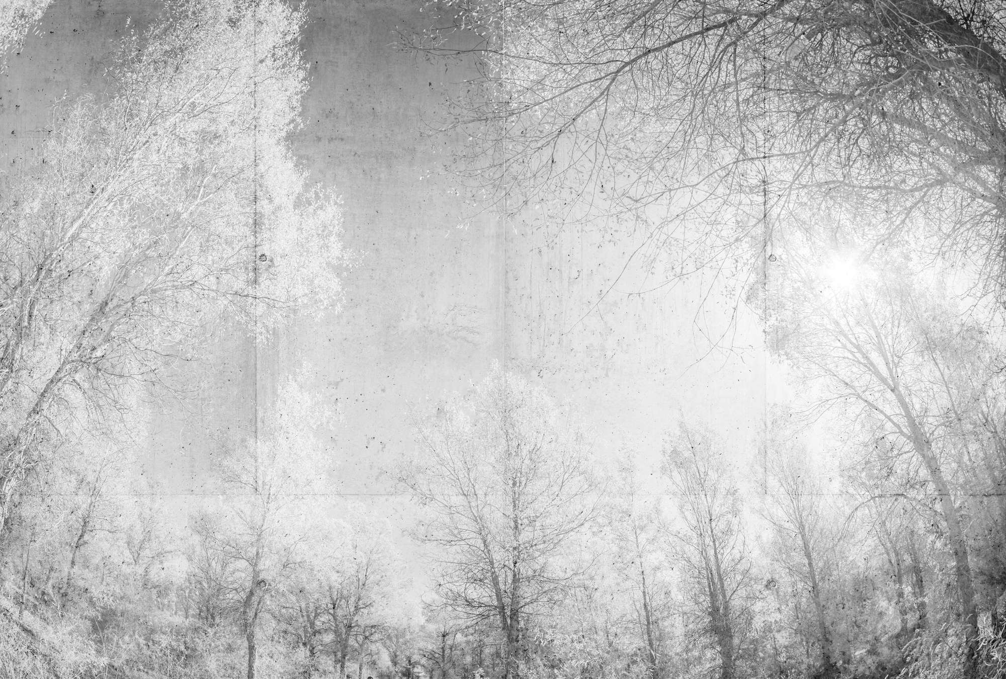             Papier peint panoramique imitation béton & design forêt, noir et blanc - gris, blanc
        