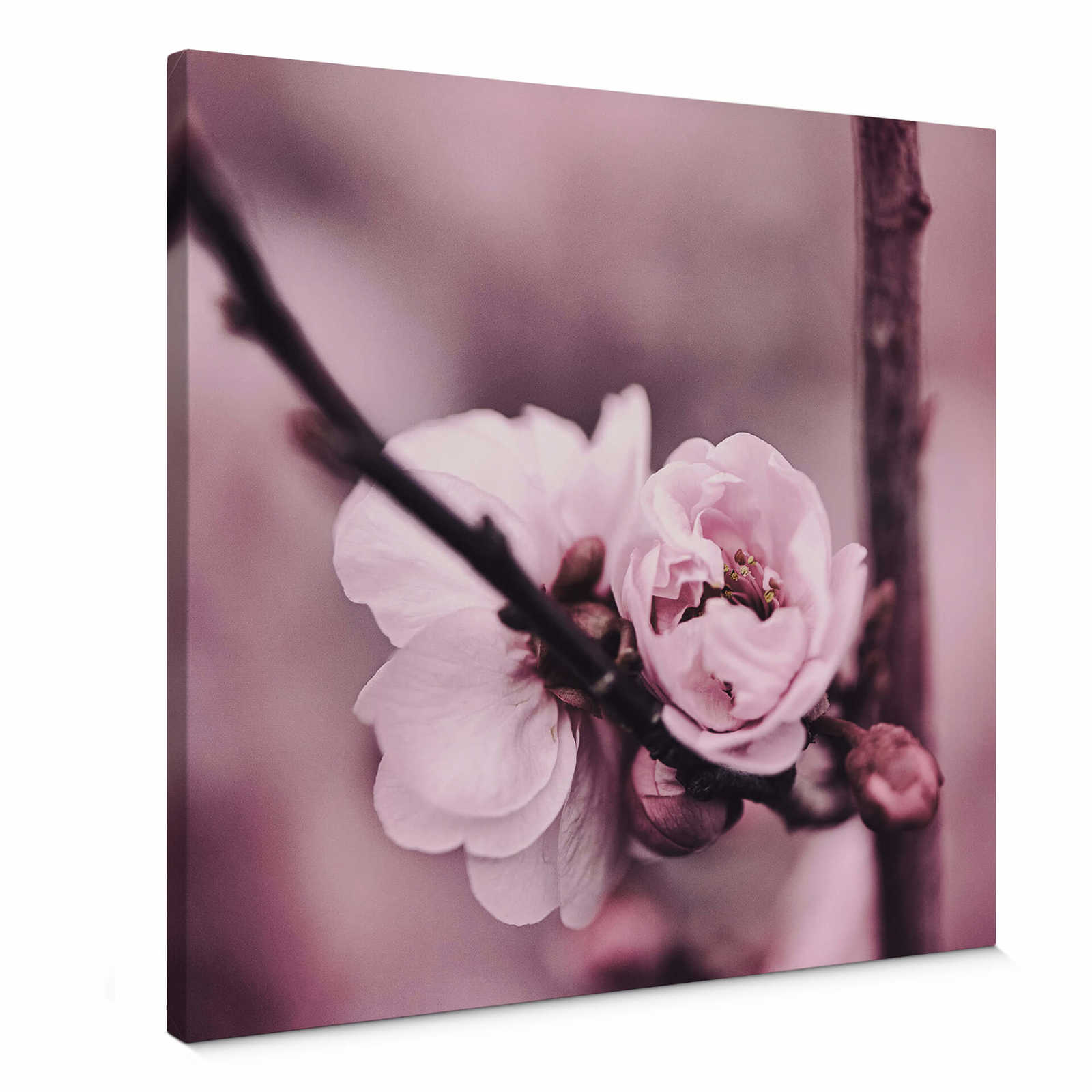 Square canvas print flower bud – pink
