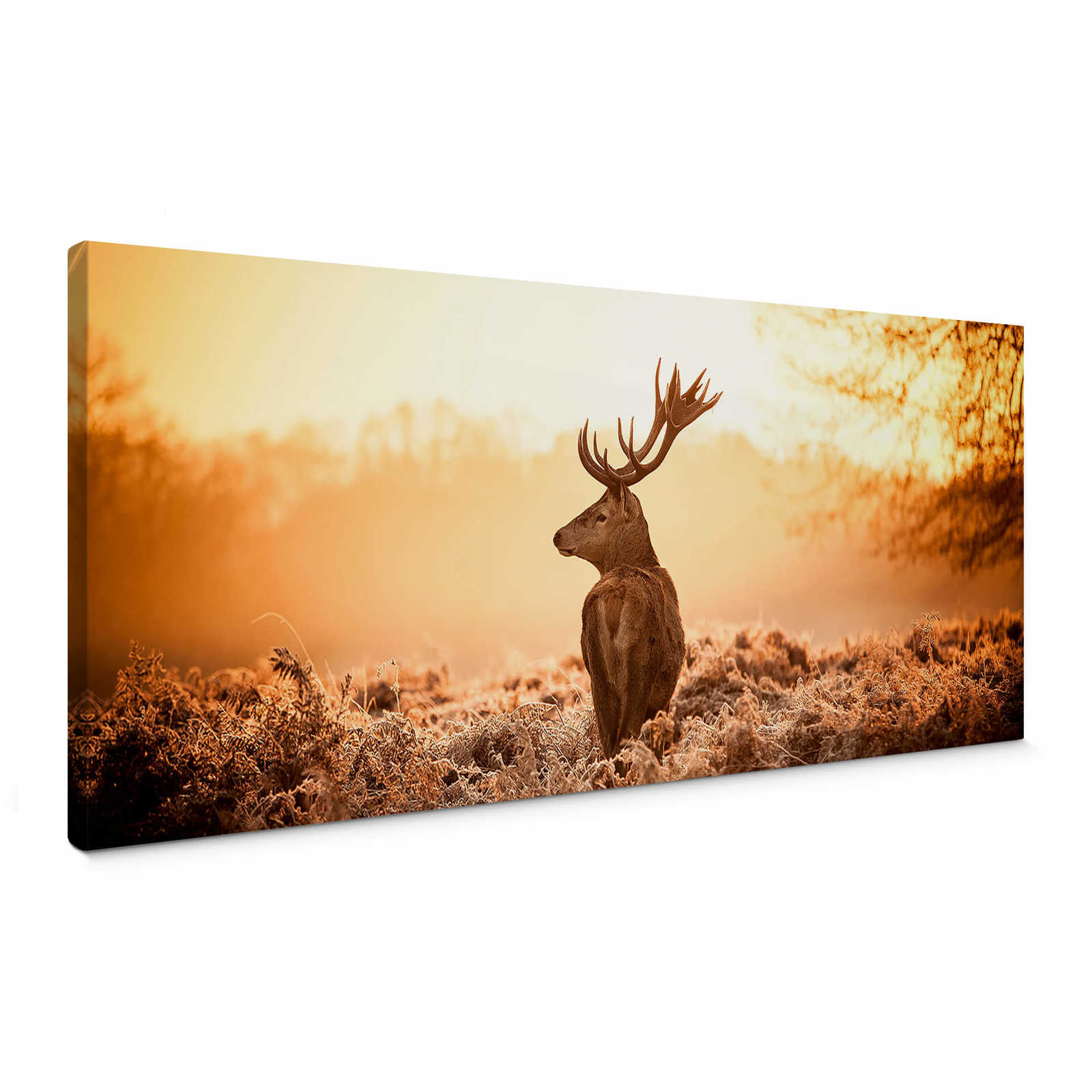         Panoramic canvas picture deer in sunlight – brown, orange
    