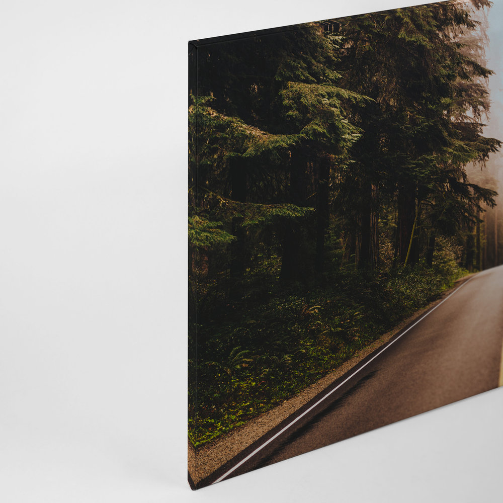             Canvas with American Highway in the Forest - 0.90 m x 0.60 m
        