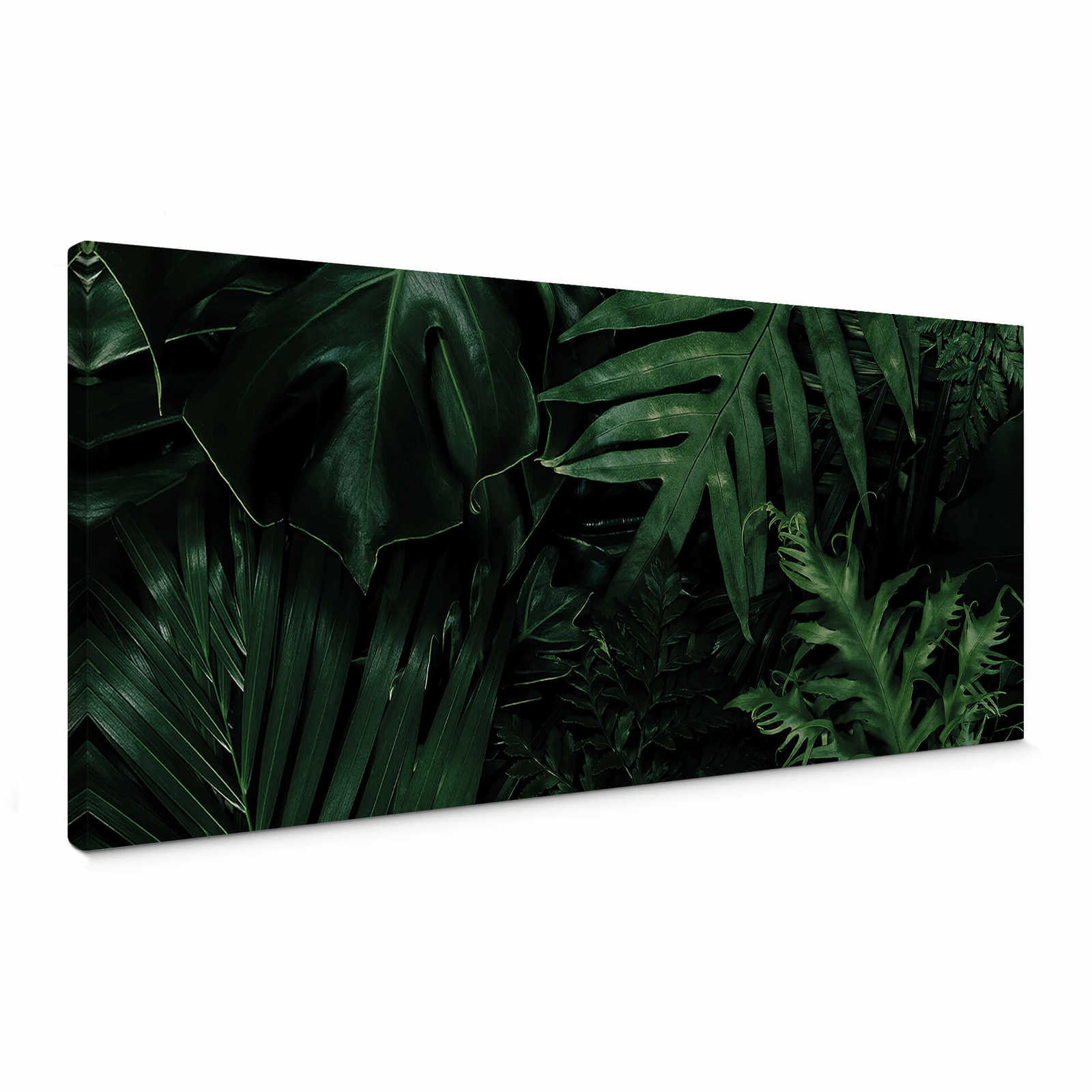         Panorama canvas print green leaves, jungle design
    