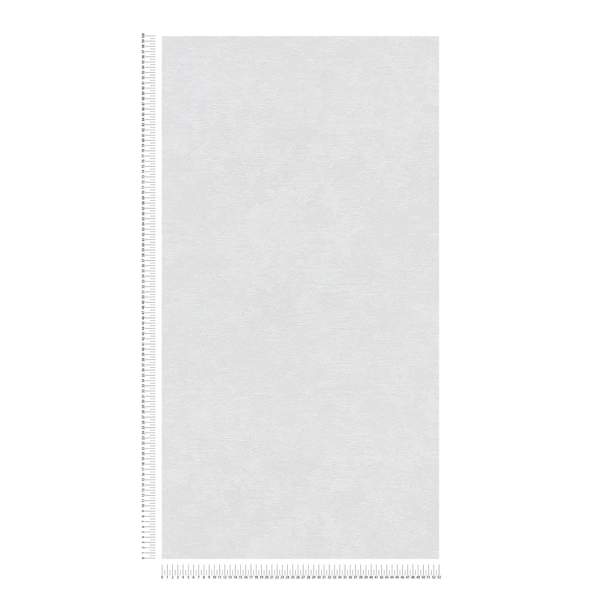             Carta da parati in tessuto non tessuto con struttura in gesso ed effetto texture - beige
        
