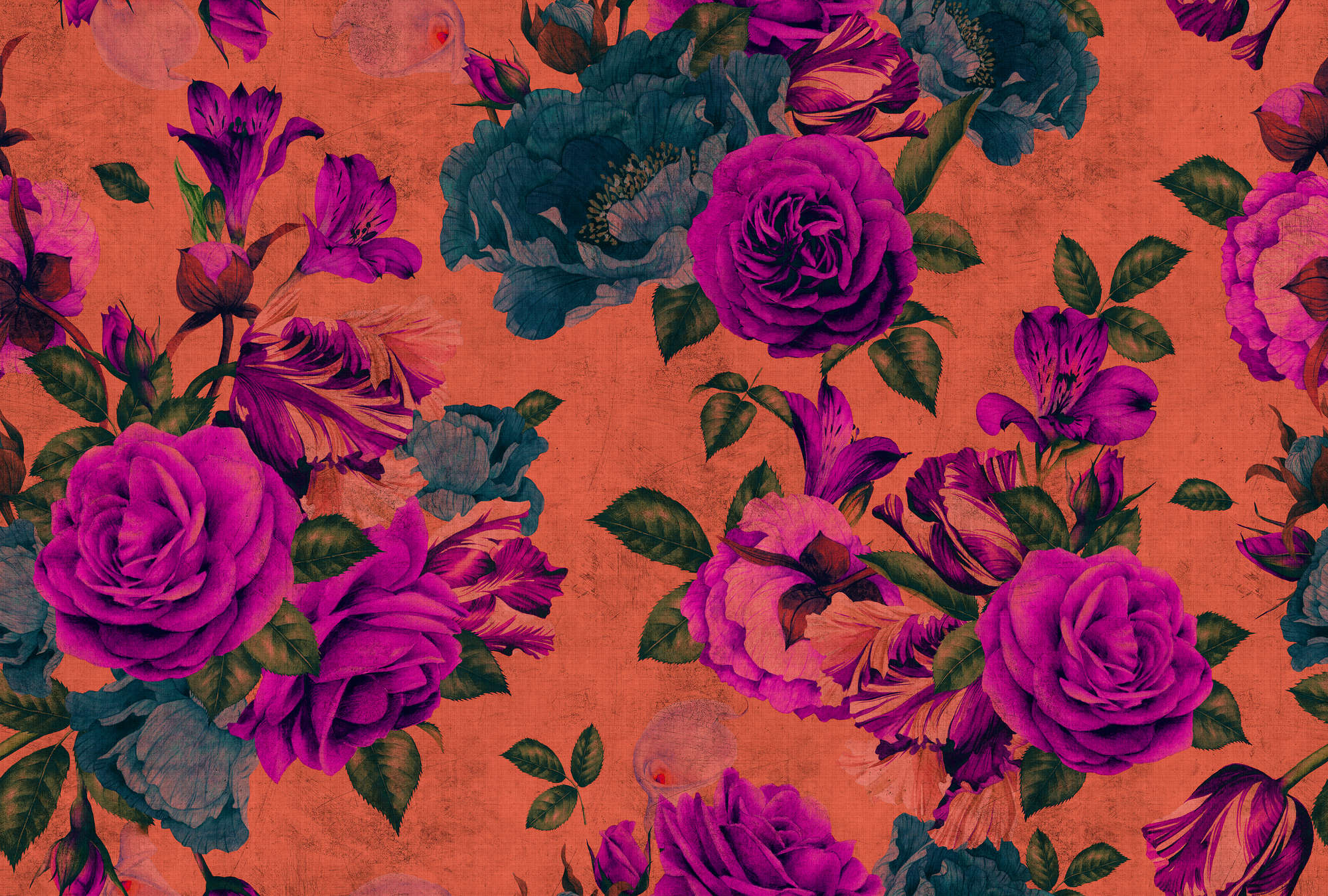             Spaanse roos 2 - Rozenbloesem behang, natuurlijke structuur met heldere kleuren - Oranje, Violet | Premium glad vlies
        