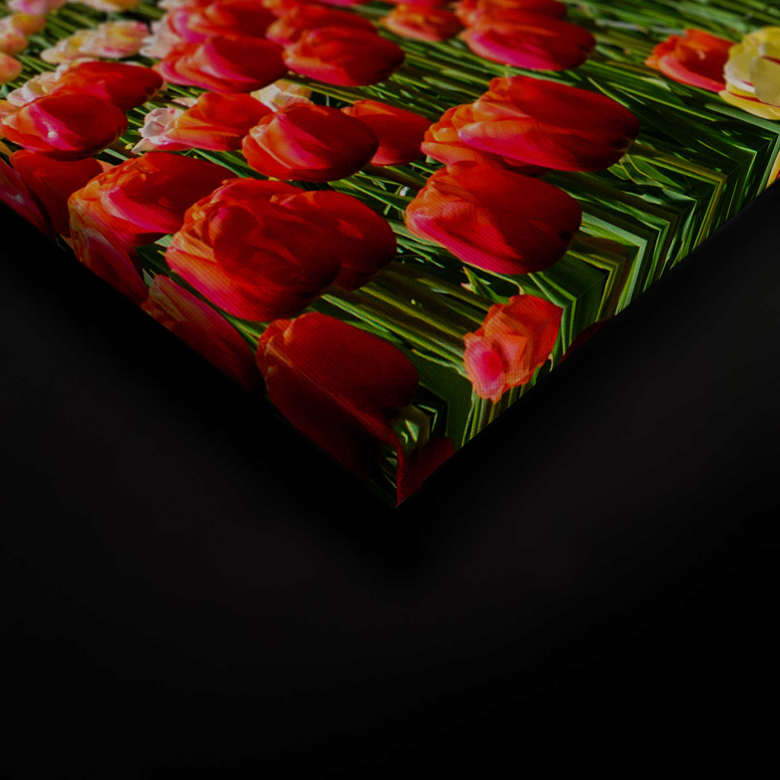             Tela Holland Tulips & Pinwheel - 0,90 m x 0,60 m
        