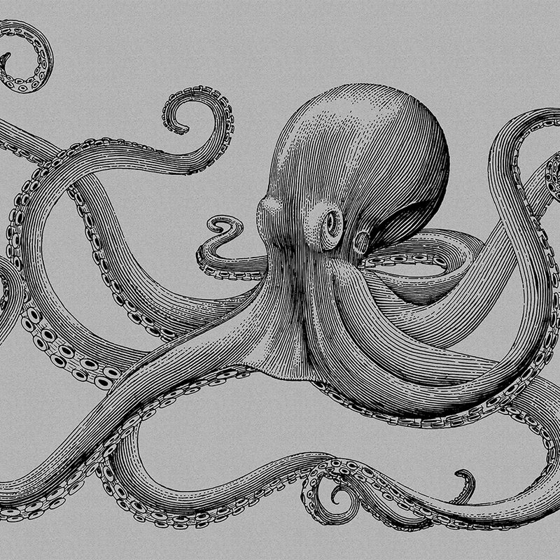 Jules 2 - Modern octopus behang in kartonnen structuur in tekenstijl - Grijs, Zwart | Mat glad vlies
