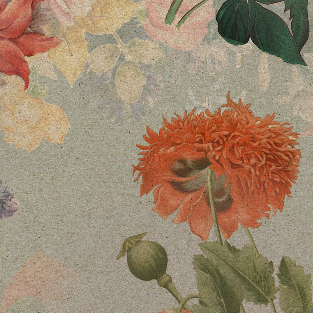             Amelies Home 1 - Papel pintado de flores vintage en estilo campestre romántico
        