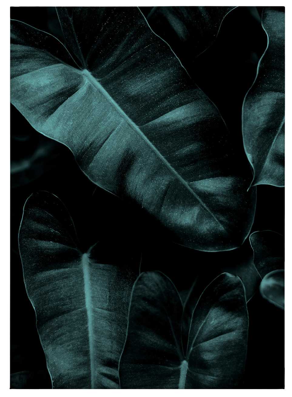             Kubstika Canvas print leaves in a jungle design – green
        
