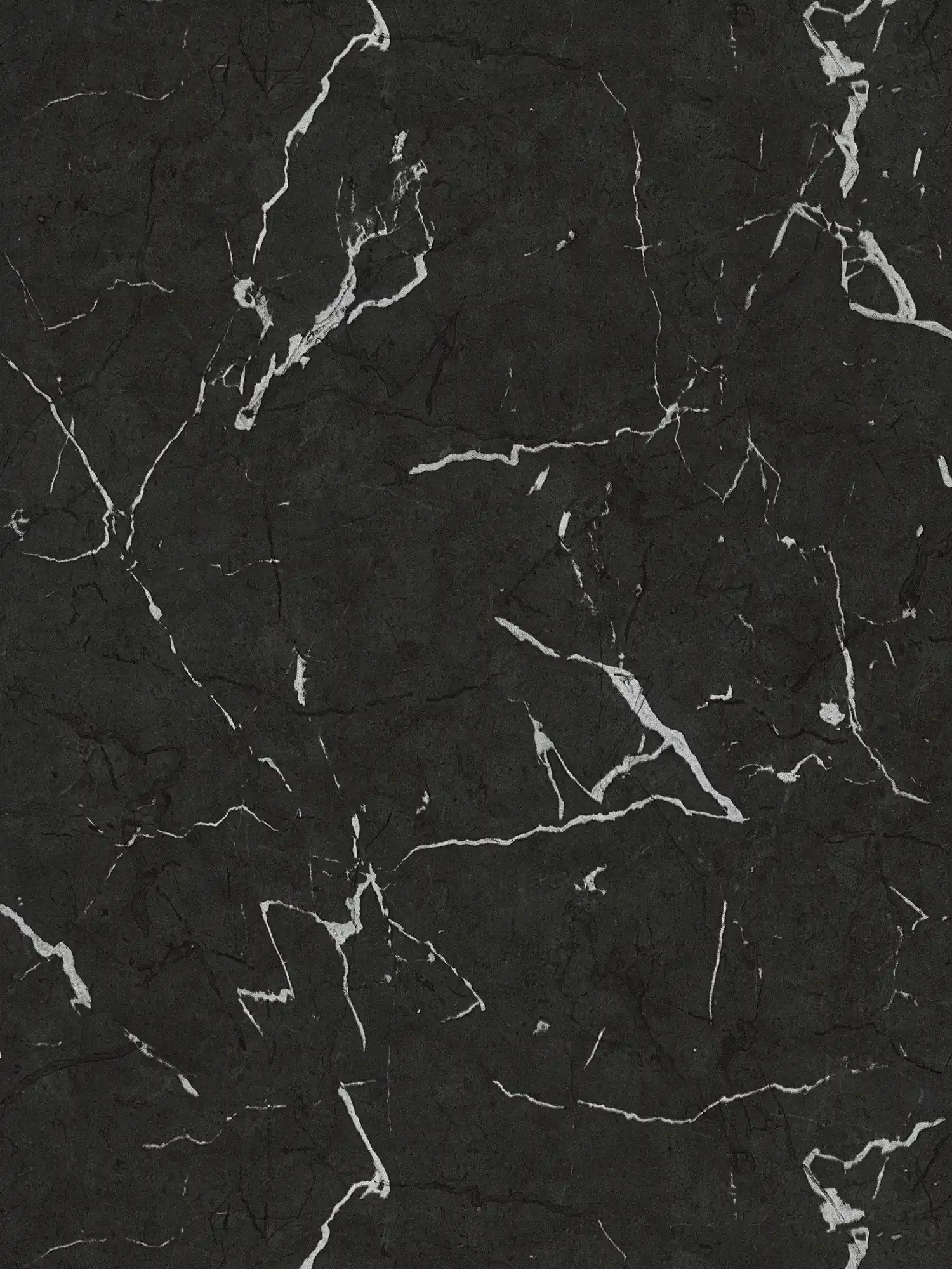         Papier peint marbre noir avec effet argenté - gris, métallique, noir
    