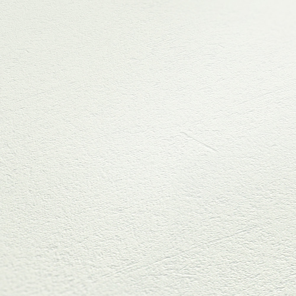             Carta da parati bianca liscia, finitura opaca per pareti neutre
        