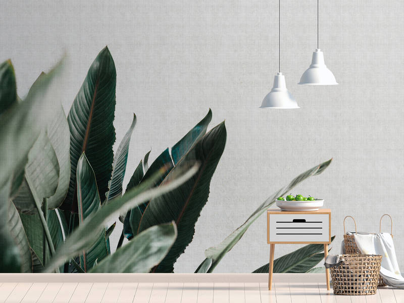             Urban jungle 1 - Photo wallpaper with palm leaves in natural linen structure - grey, green | mother-of-pearl smooth fleece
        
