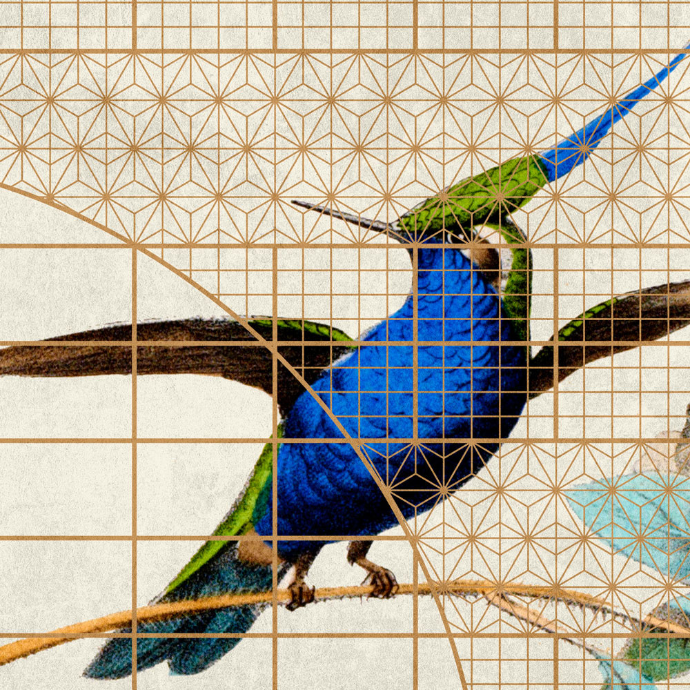             Volière 2 - Oiseaux Papier peint oiseaux chanteurs dans une cage dorée
        