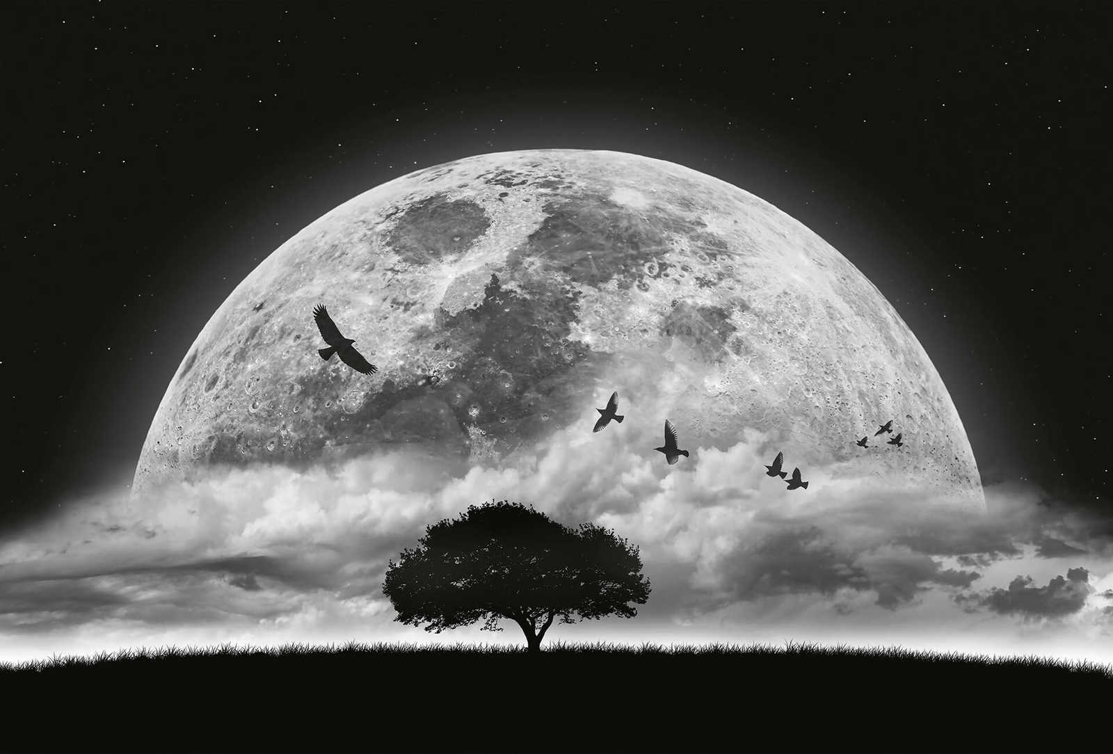         Photo wallpaper Moon and Birds - Black, White
    