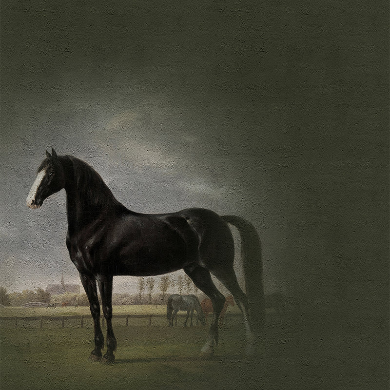         Horses mural classic painting style - black, white
    