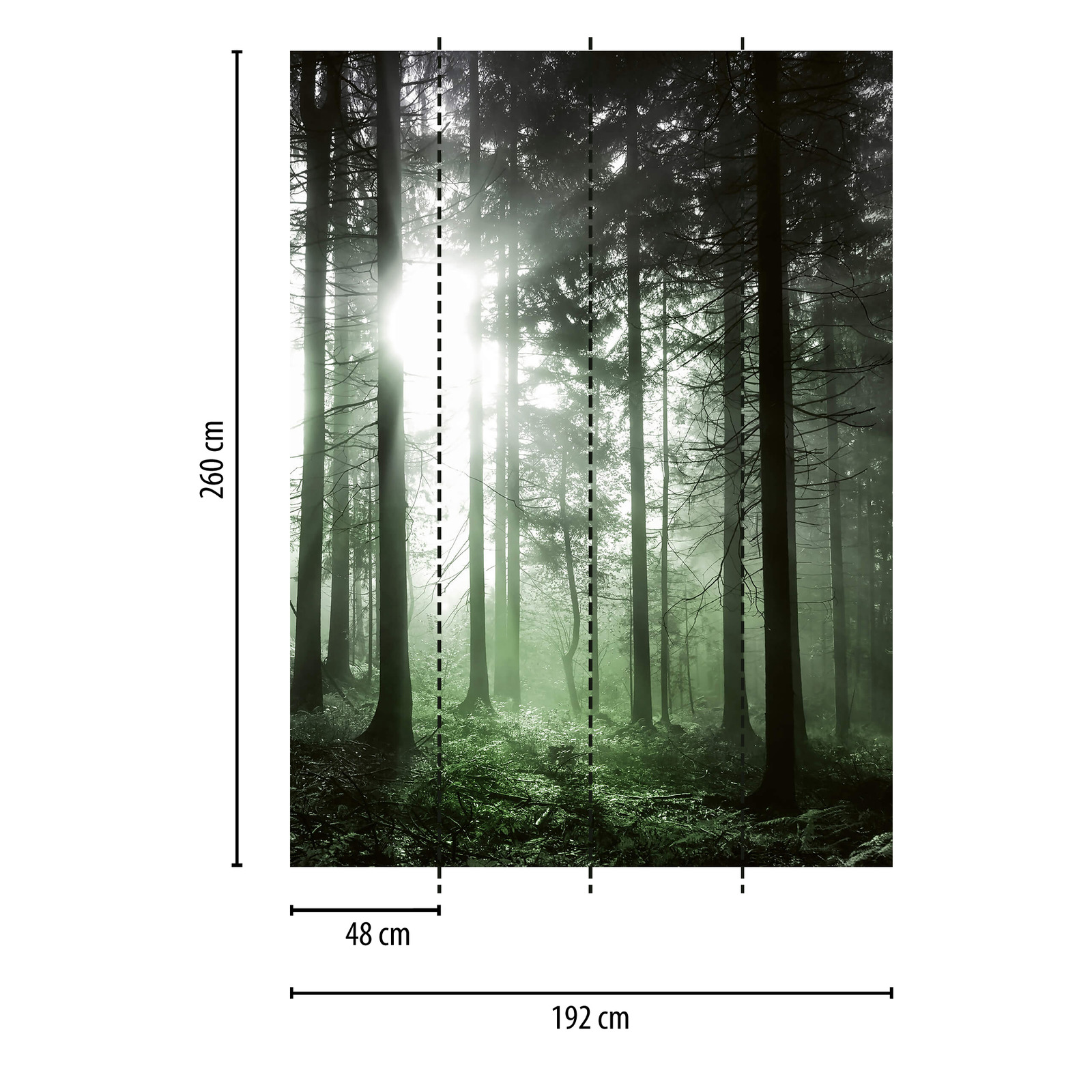            Photo wallpaper sunbeams in the forest - green, black, white
        