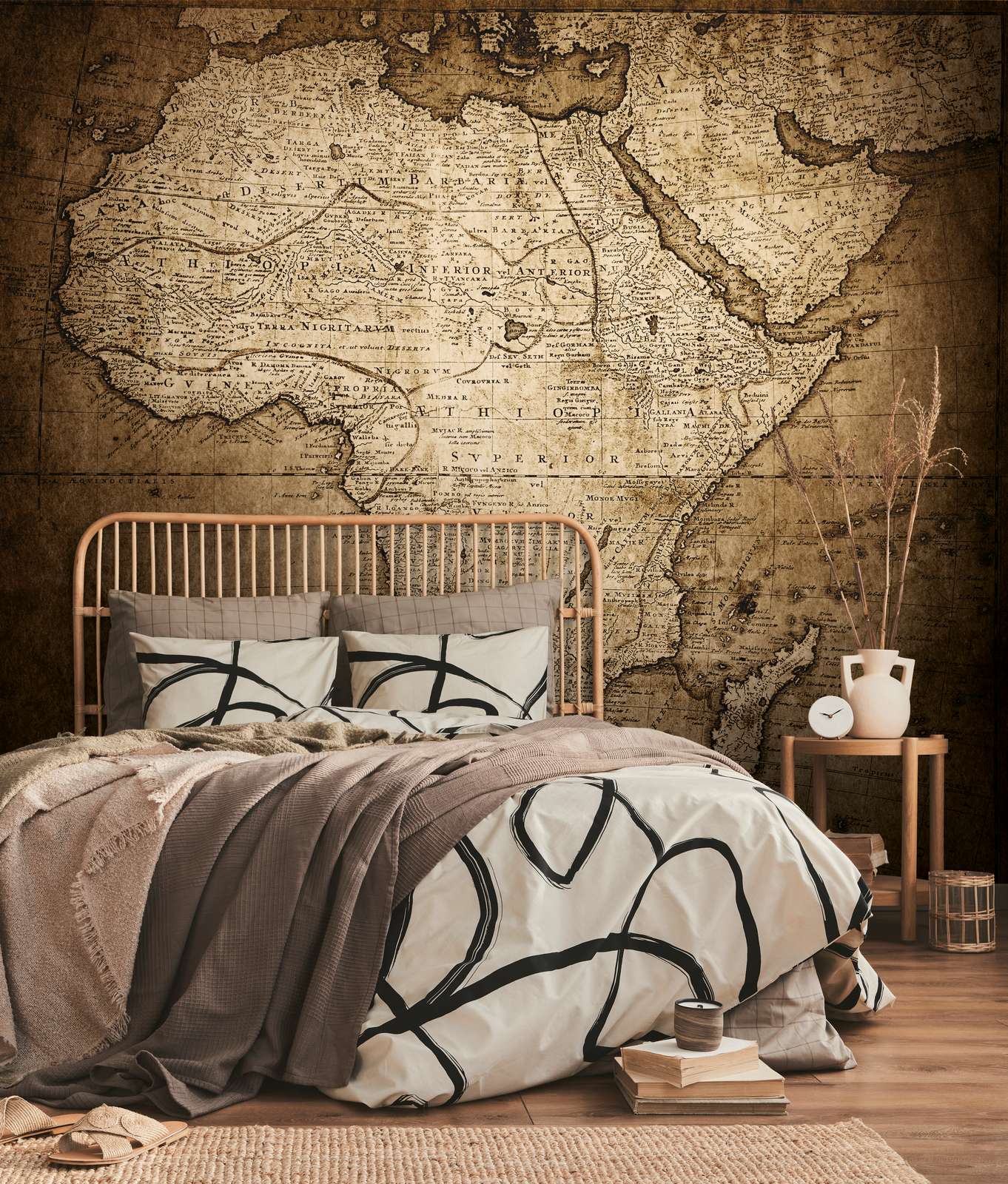             Vintage style Africa map mural
        