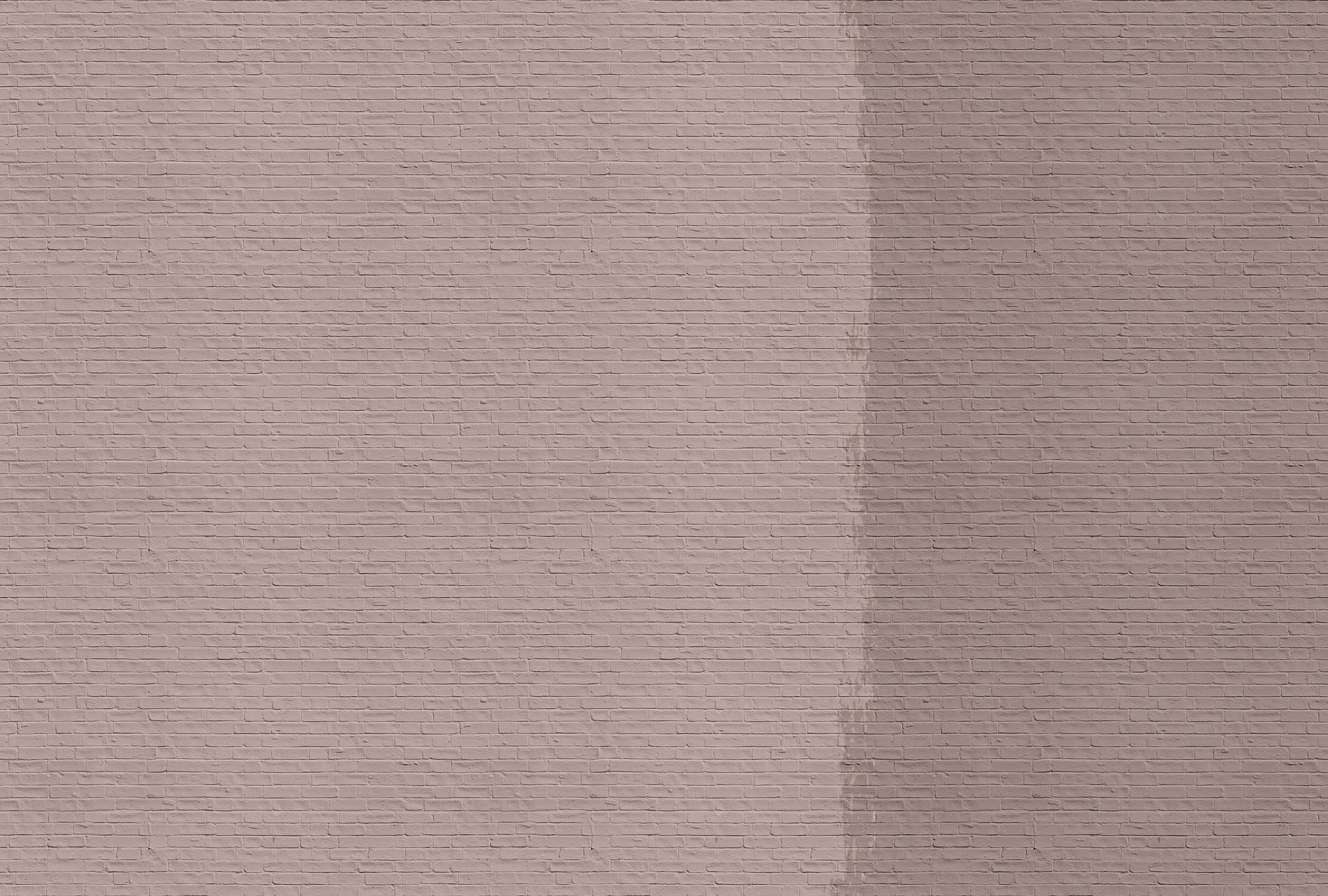             Tainted love 2 - Papier peint avec mur de briques peintes - rose, taupe | structure Intissé
        