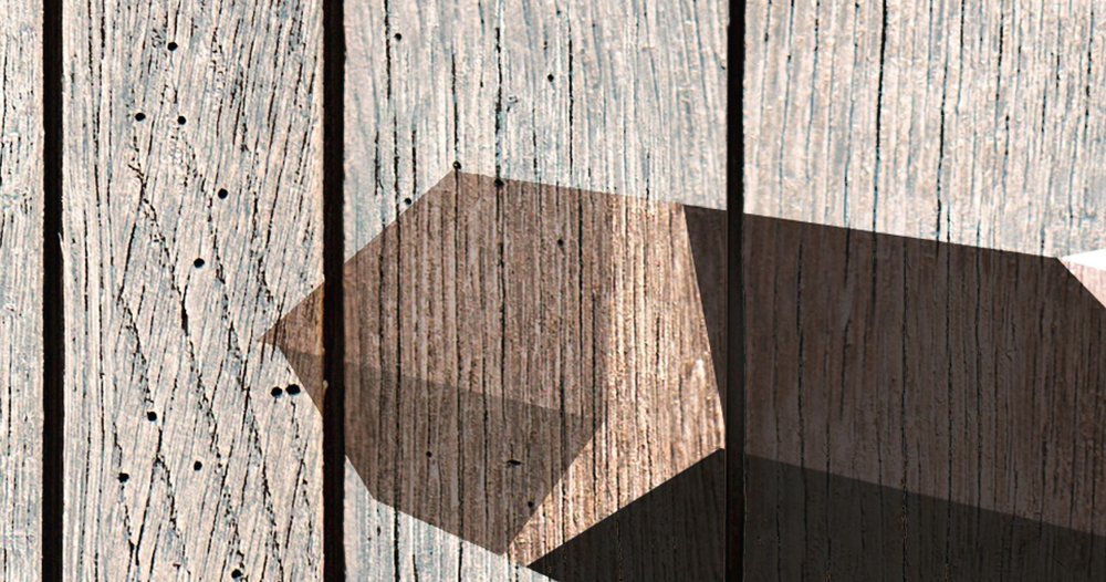             Born to Be Wild 4 - Fotomural Pingüino sobre tabla pared - Paneles de madera de ancho - Beige, Azul | Tejido no tejido texturizado
        