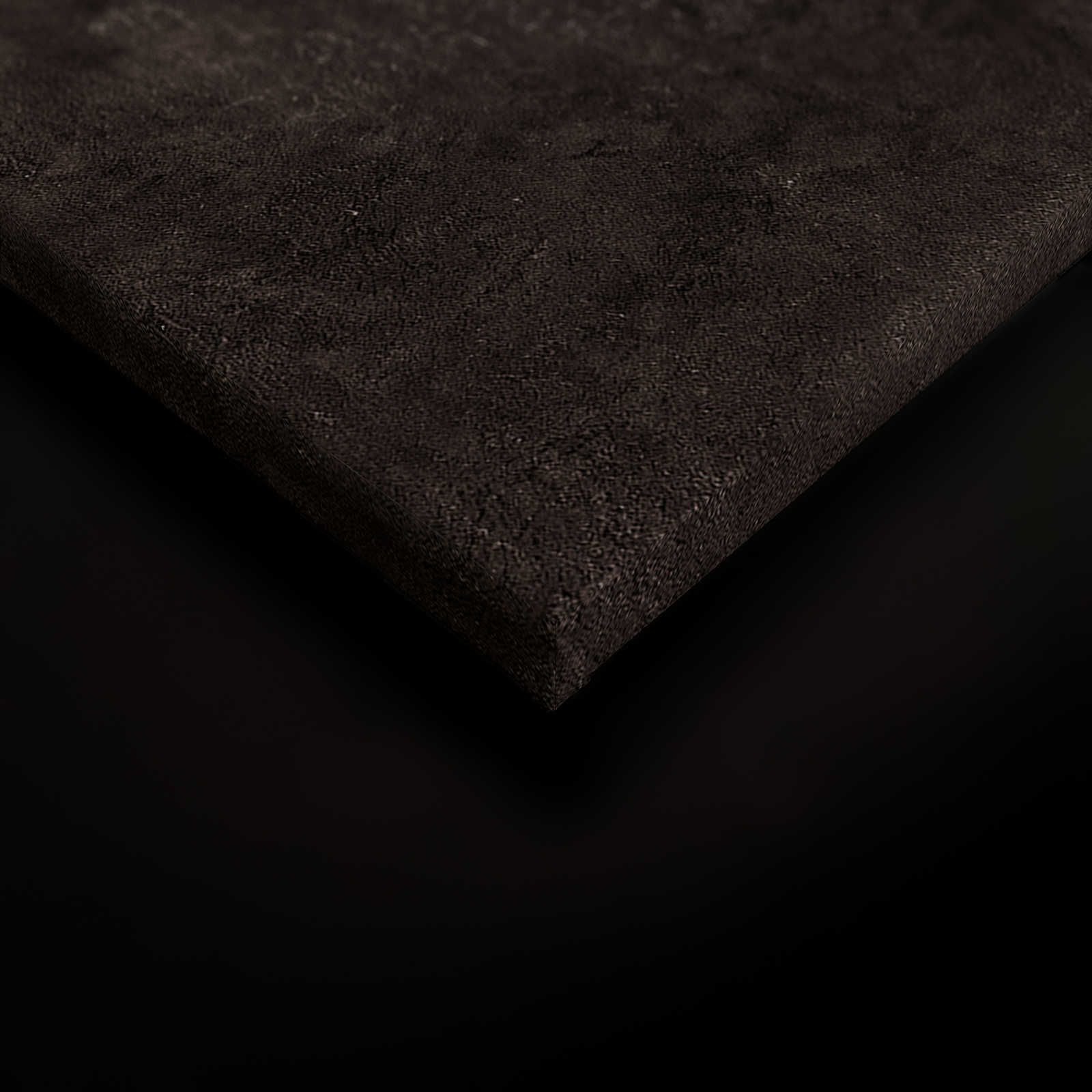             Palomas Room 2 - Quadro su tela nera Ritratto astratto - 0,90 m x 0,60 m
        