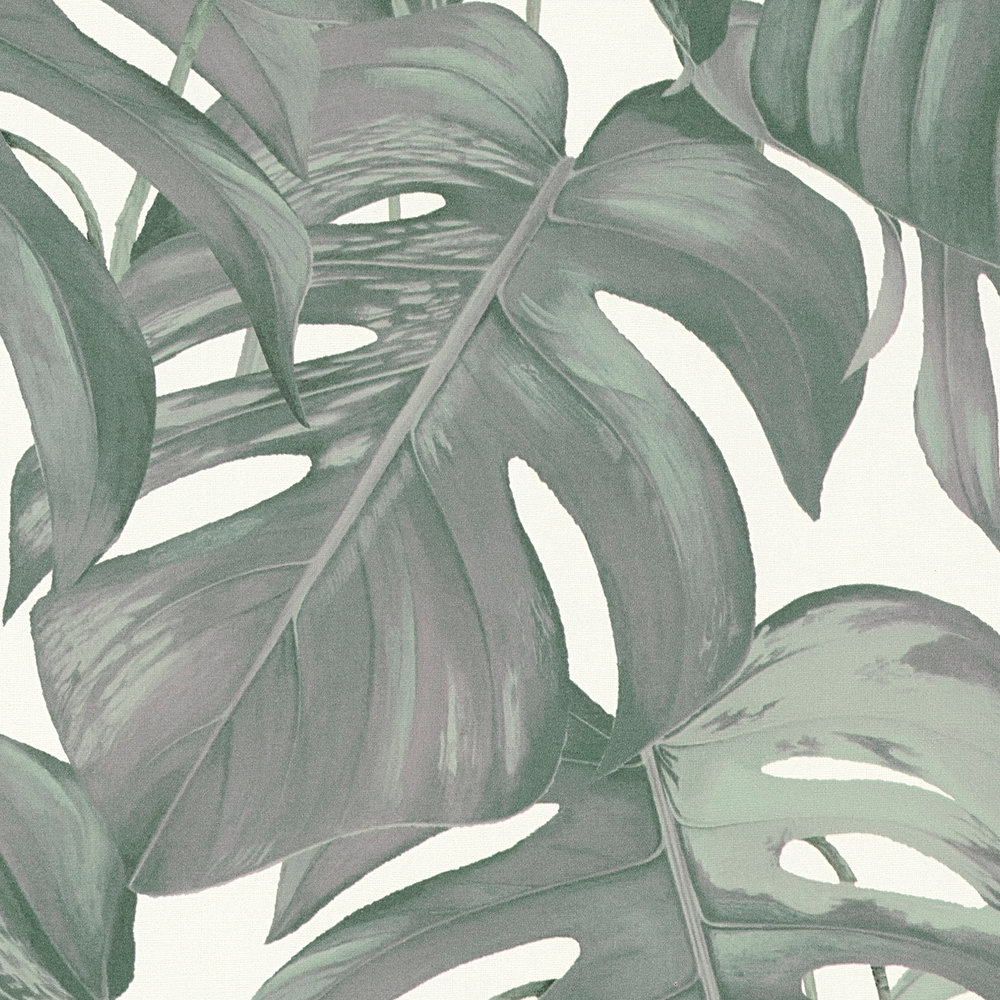             Bladeren behang tropische monstera patroon - groen, wit
        
